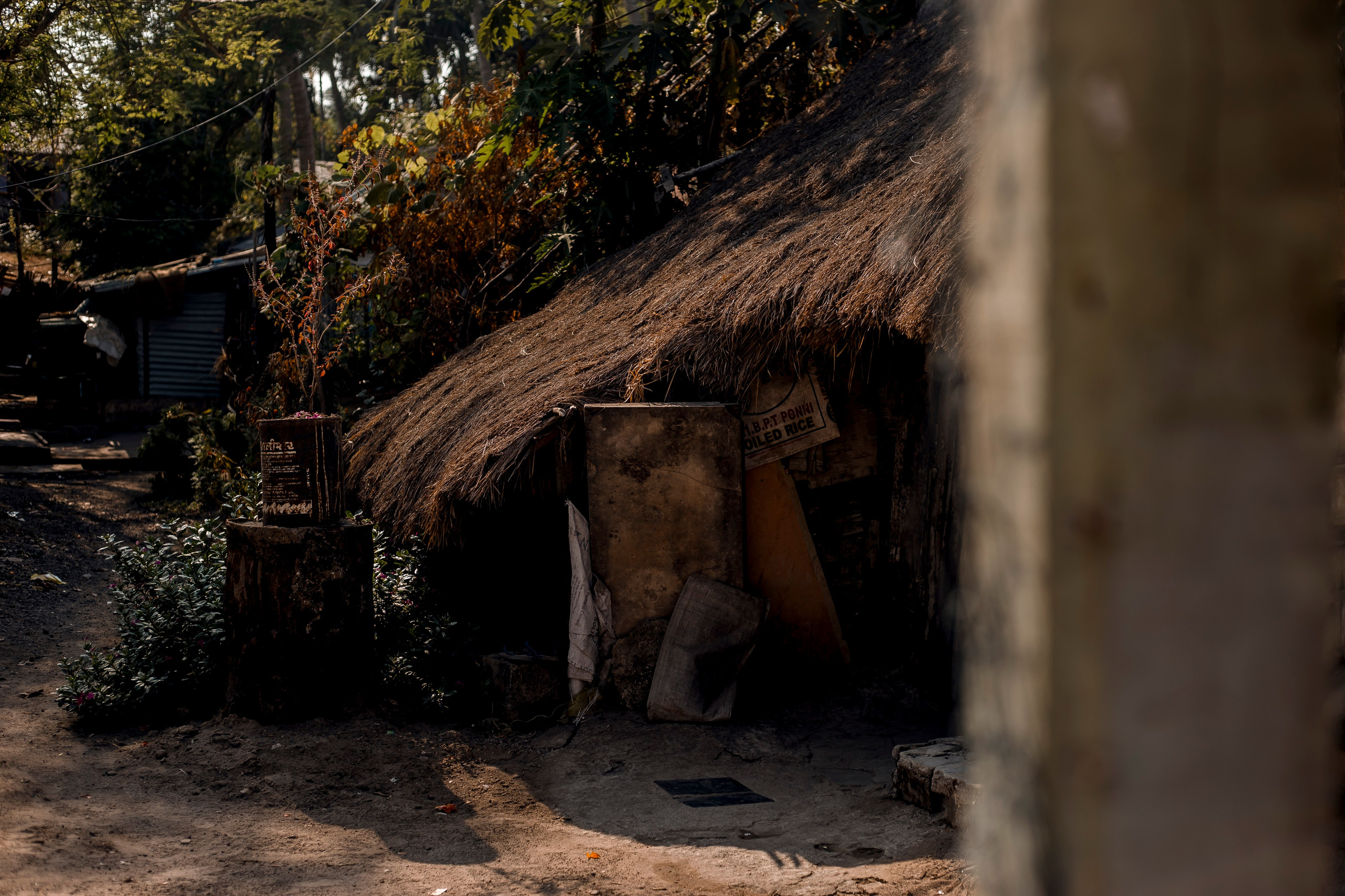 Andaman Islands, Part2. Art Photographer