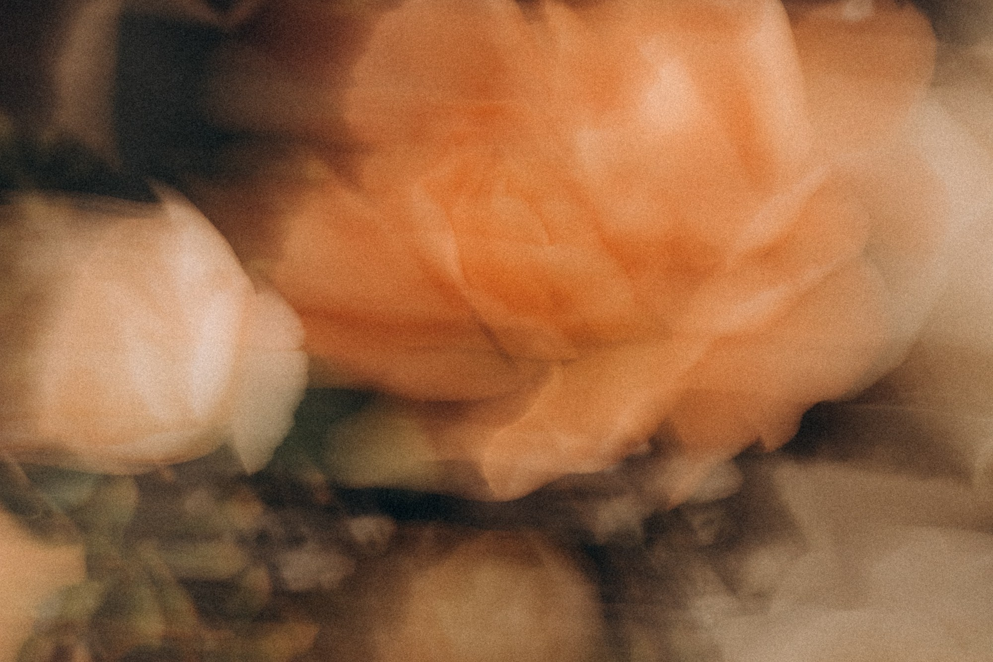 Get in Touch. Paar und Hochzeitsfotogfrafin aus NRW