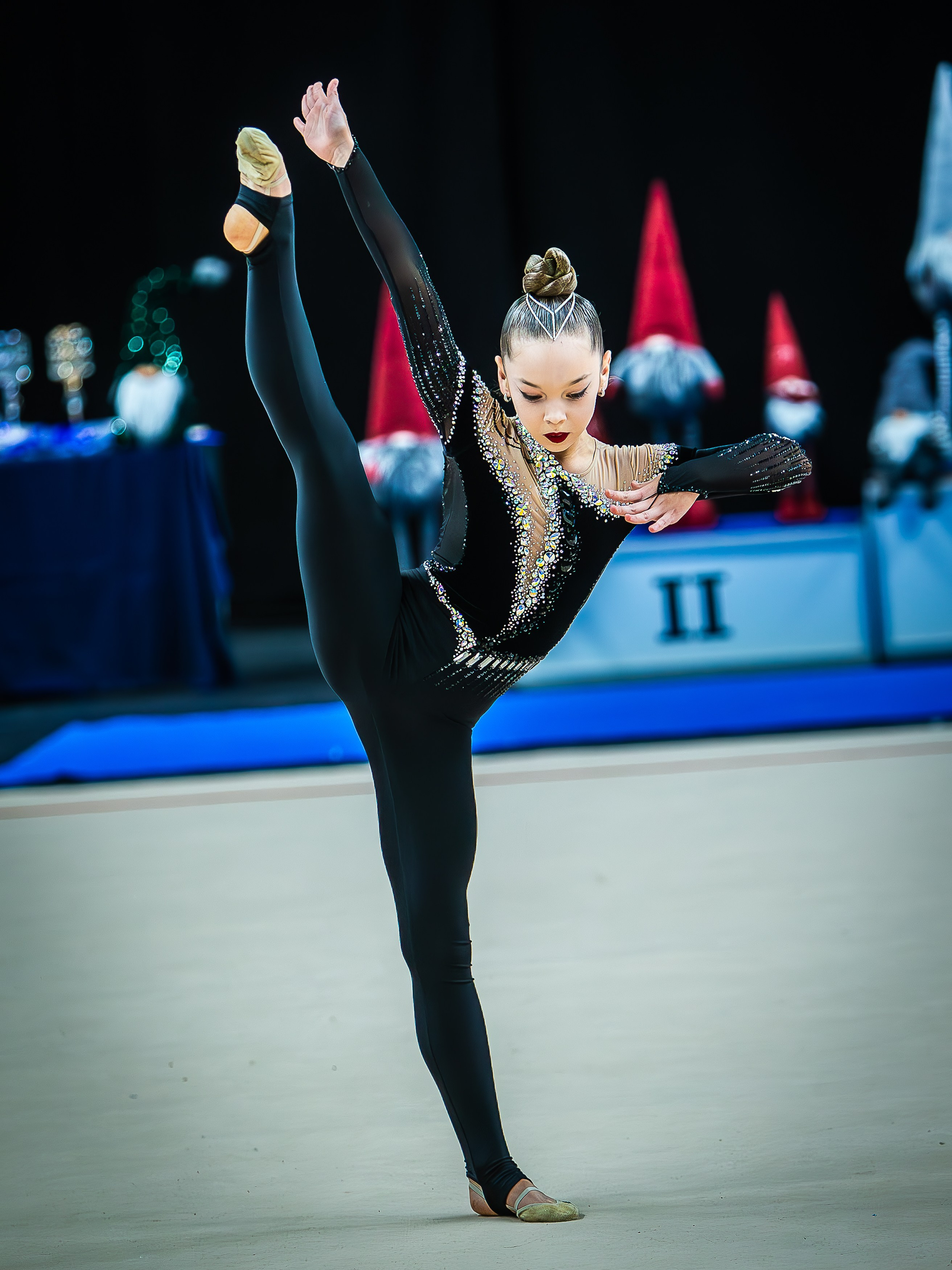 Галерея 1. Спортивная фотография, видео, трансляции