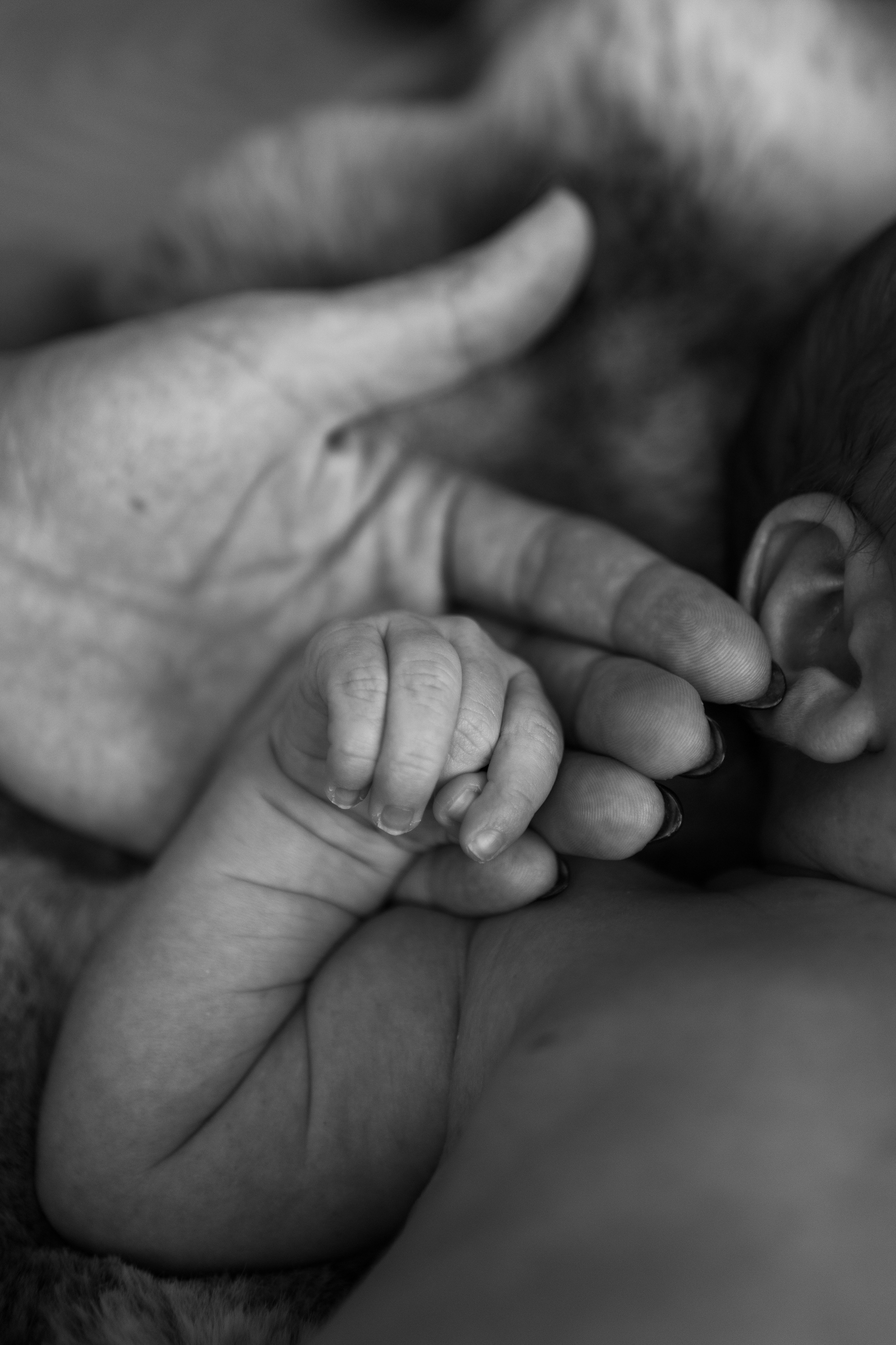 Photographer San Diego California