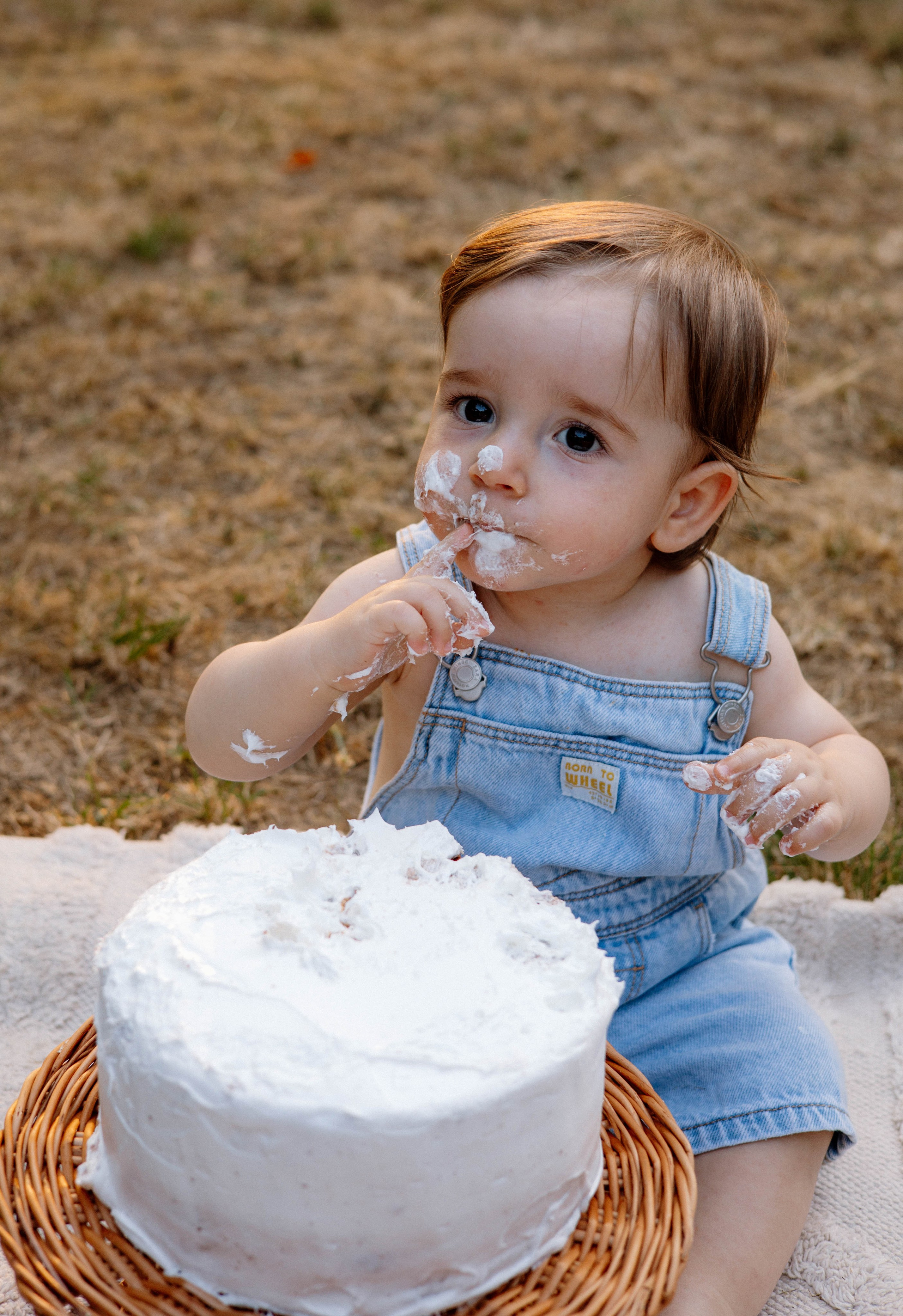 Smash Cake Photography. Family and Wedding Photographer