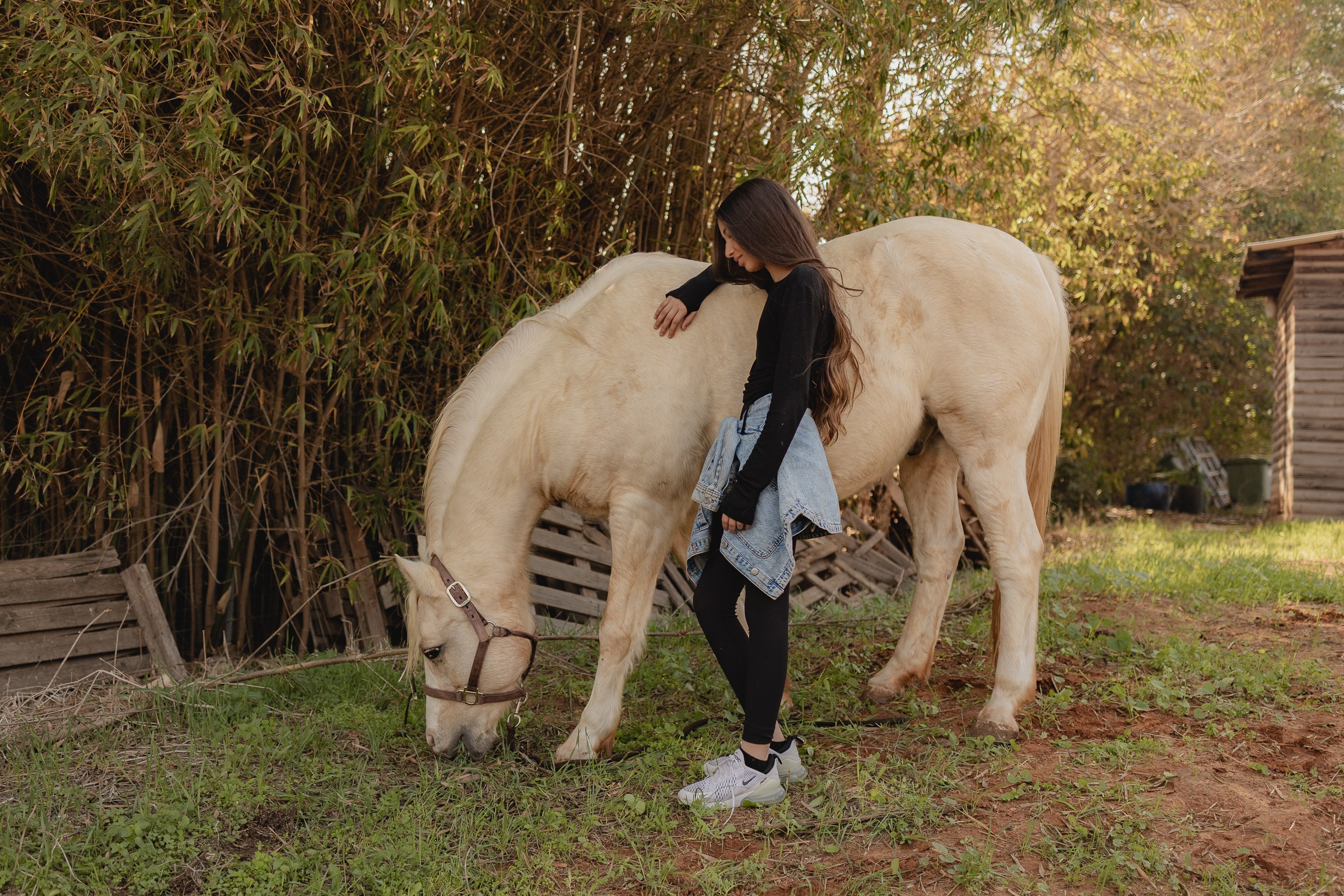 חוות סוסים בת מצווה. דף בית
