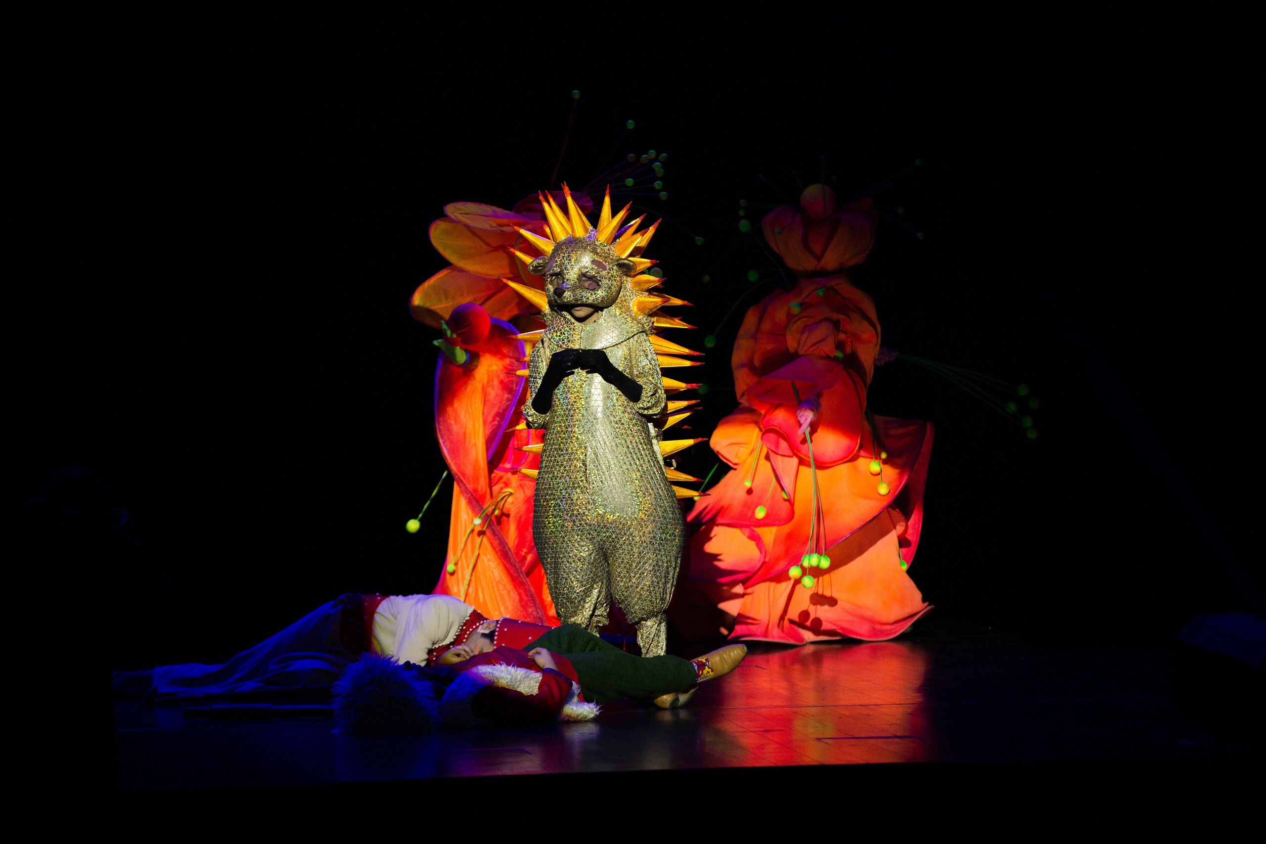 CIRTDAN SHOW. Wedding&Event photographer Ismail Rzayev in Baku