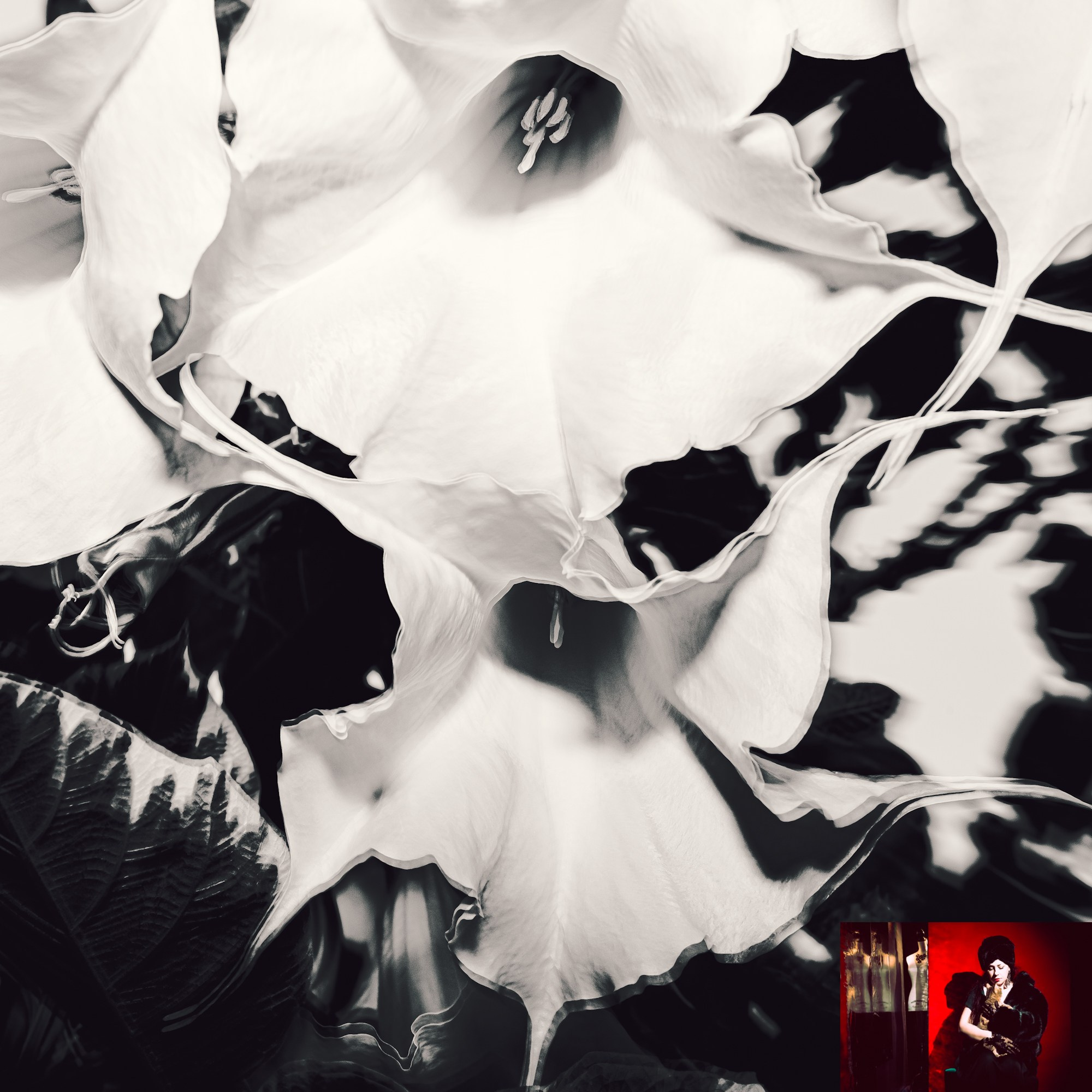 Portraits of Park Residents. Ekaterina Tsurkina-Appina Photography Canada