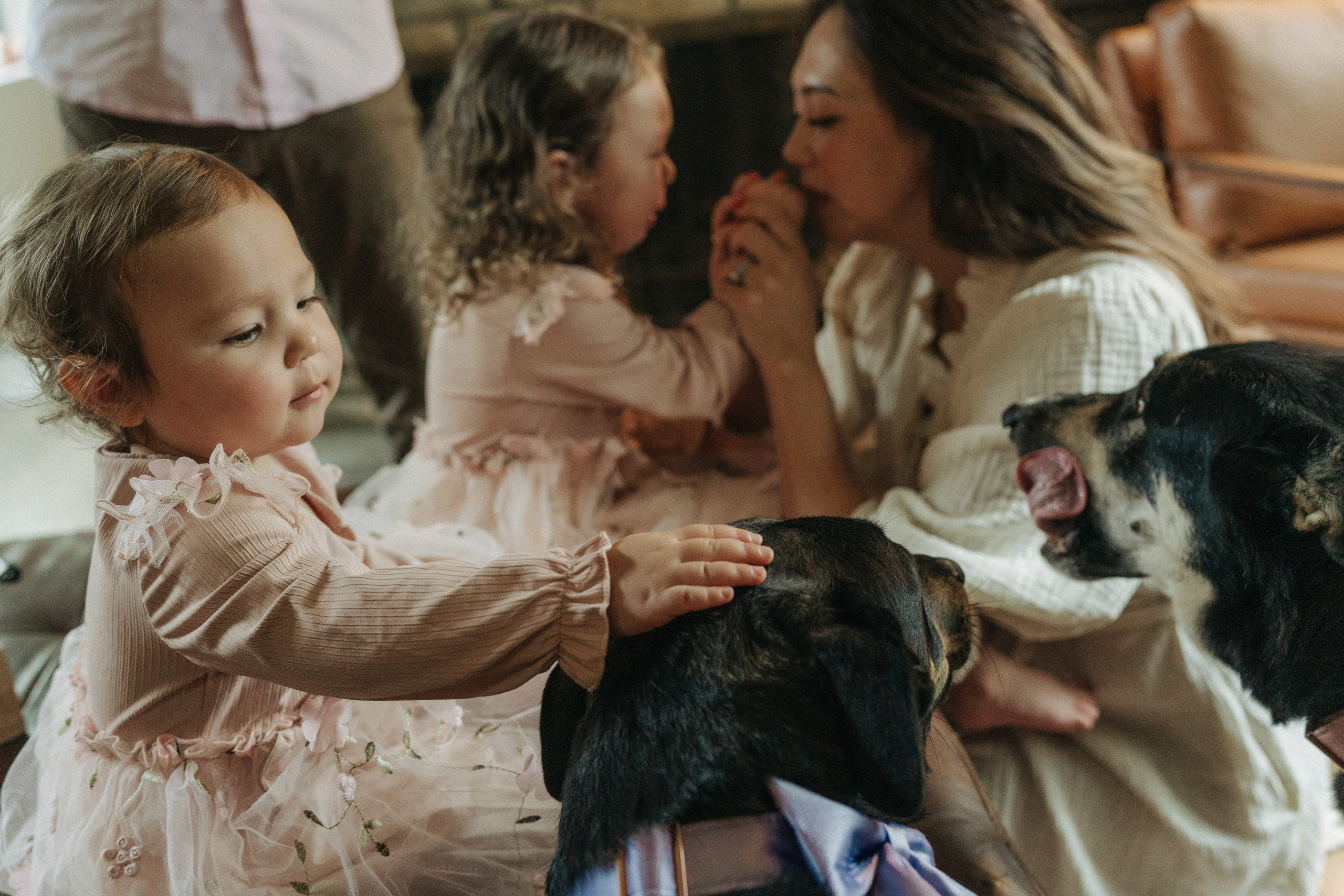 Christine, Clint, Etta, Leighton, Elodie. Wedding and family photographer and videographer PA, NJ, NY, DE, MD