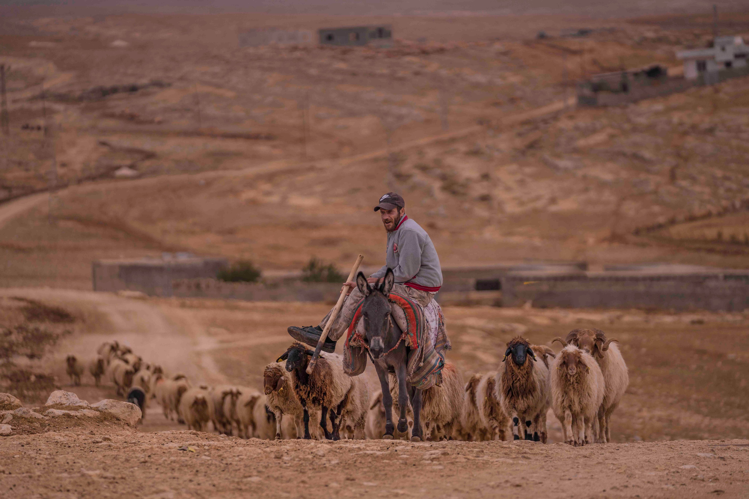 Фото. Брахим — фотограф