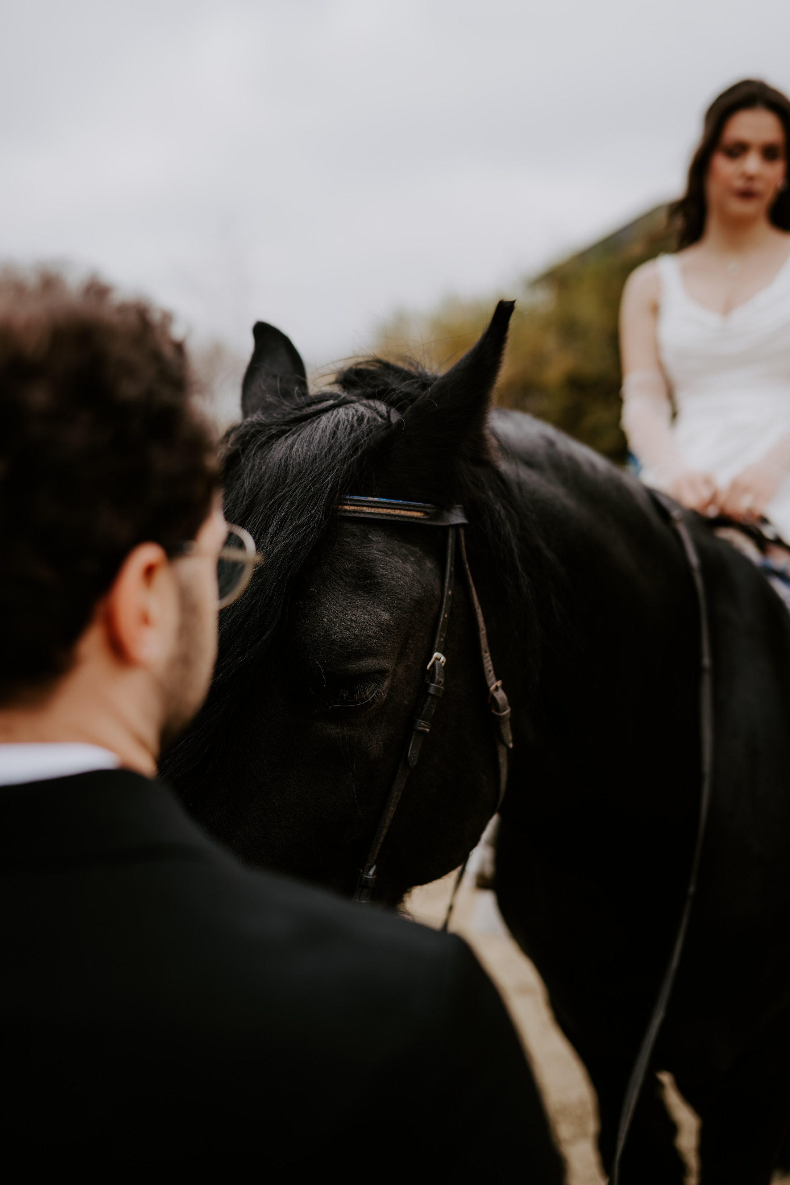 TTD — Ioana&Stefan. Catalin Brinza