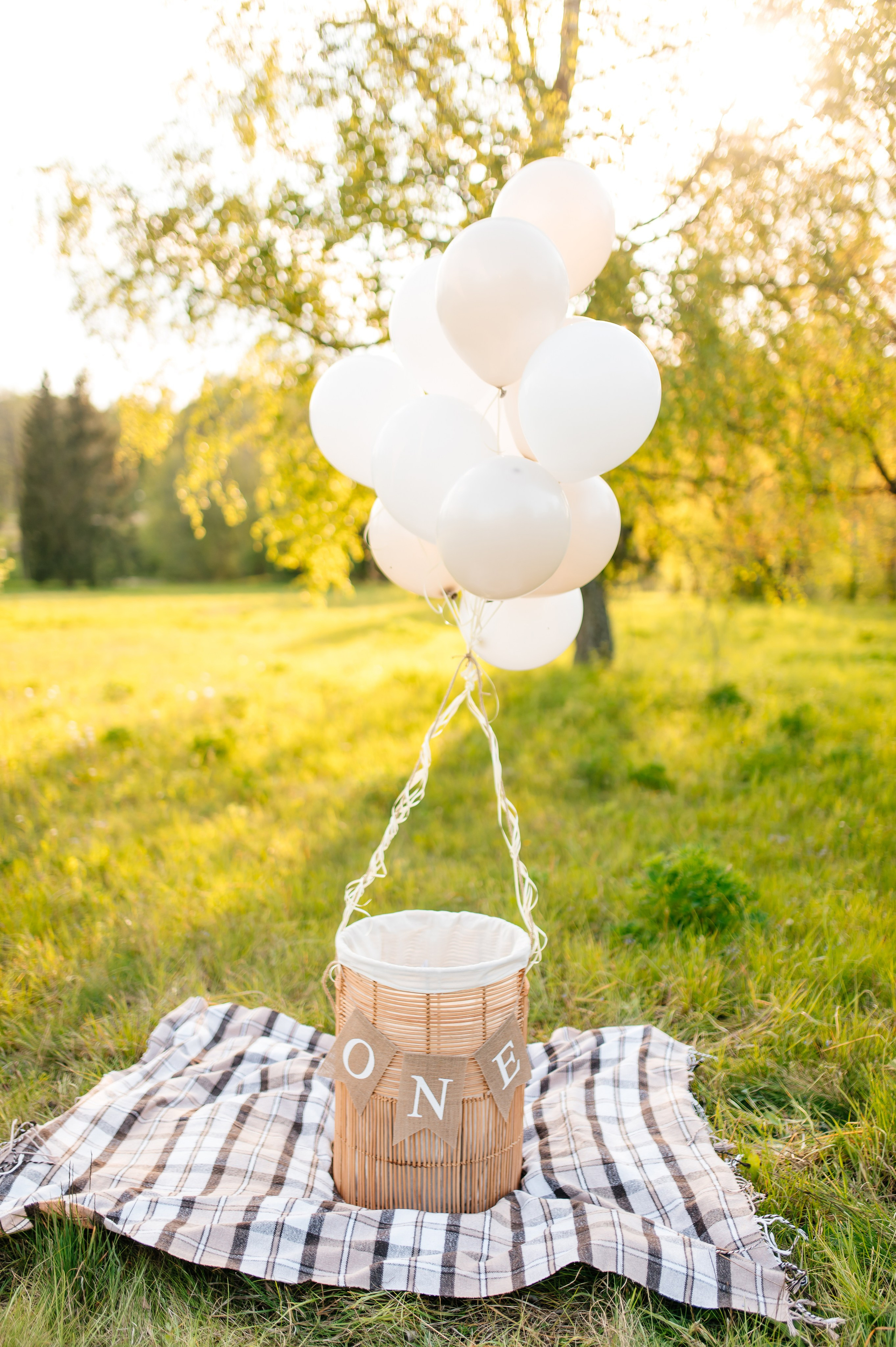Алина, Александр и Марк. Свадебный и семейный фотограф в Минске и по всей Беларуси