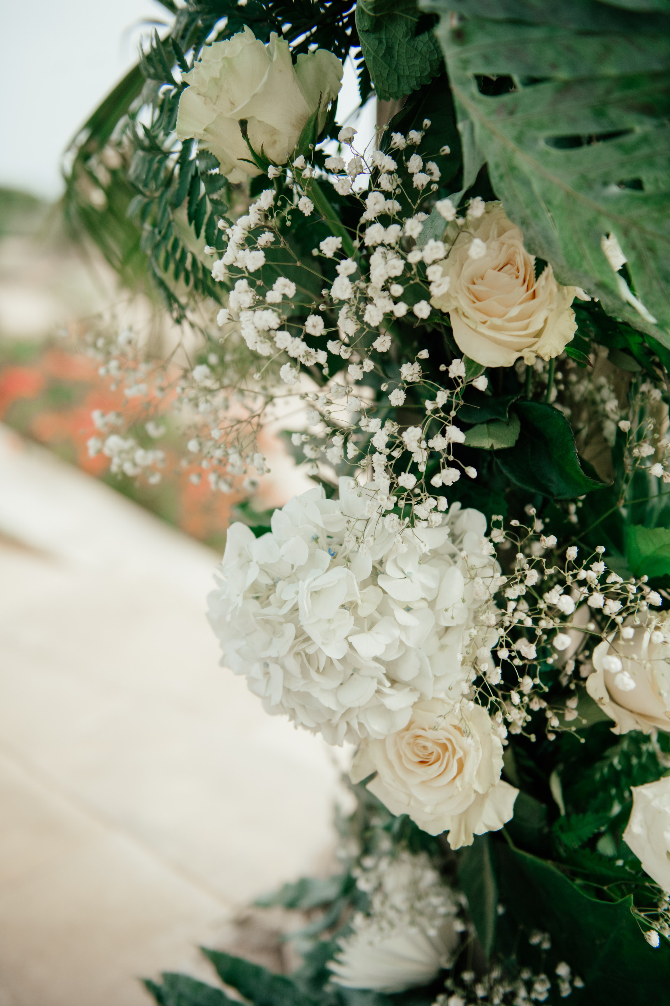 Alicia & Marc (Finca Marques de Montemolar)