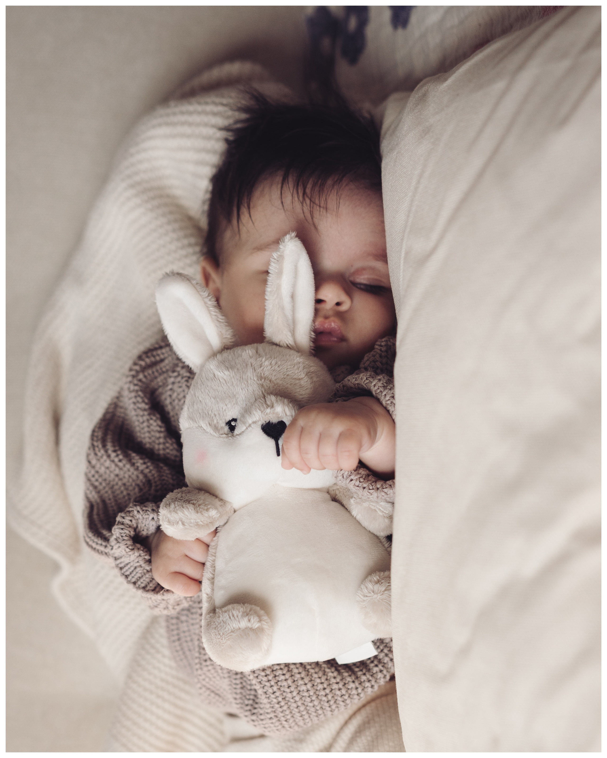 Welcome to the World. Dash_photopic.I’m Daria New York based photographer