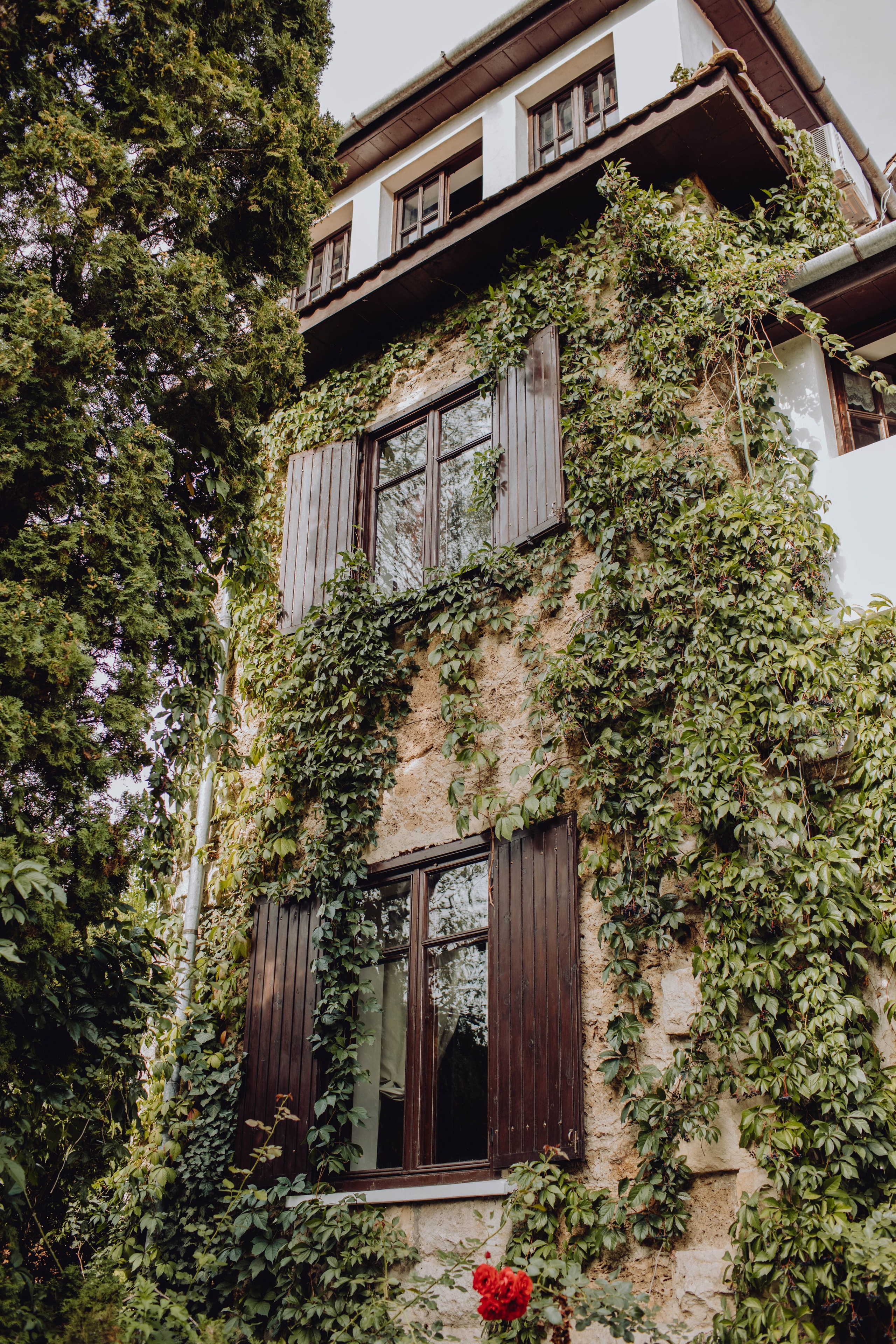 Ana. Wedding & couple photographer from Romania Rut Vetan