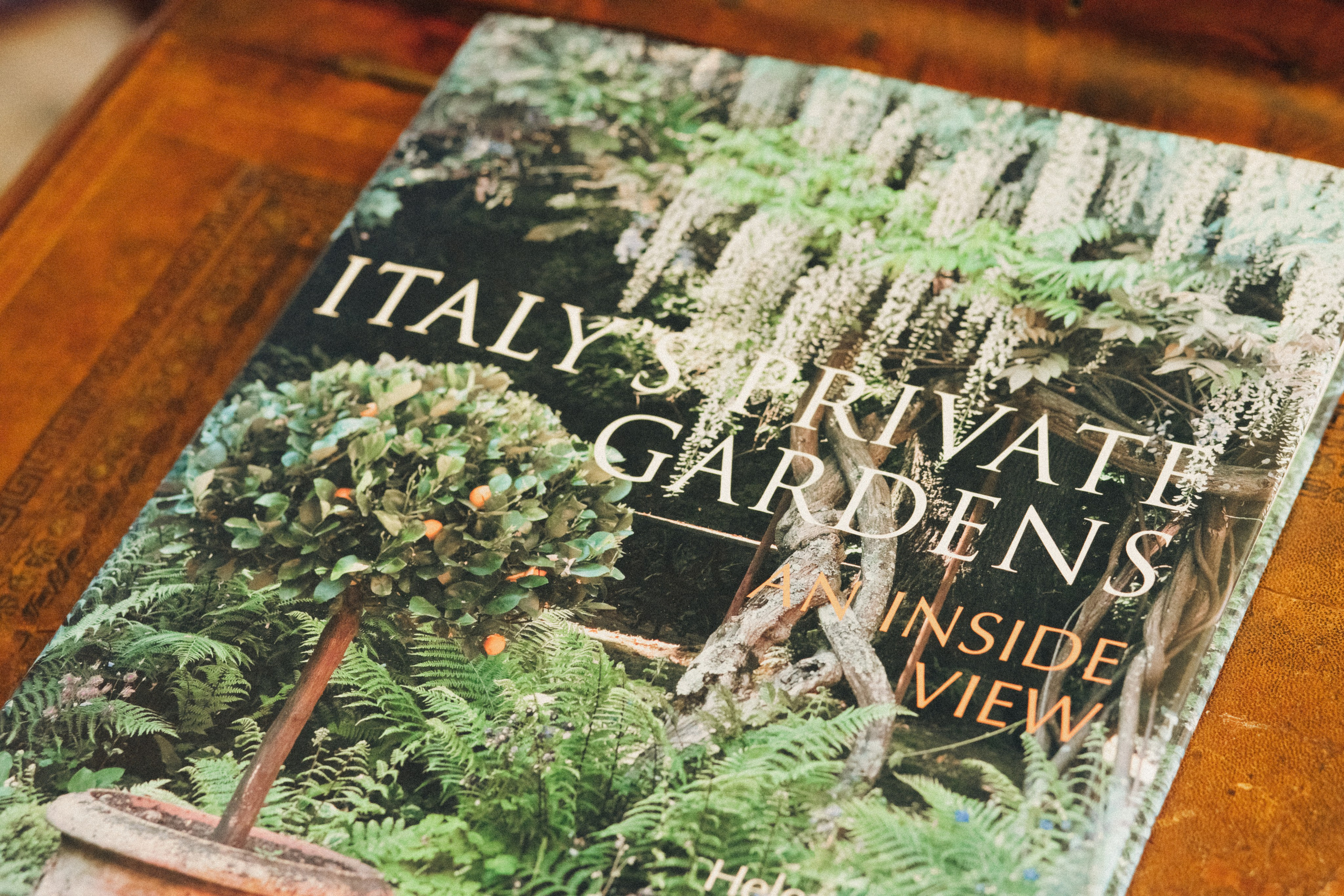 Rada & Vlad | Tremezzo. Liza Bizzaro — Italy Wedding, Love Story & Portrait Photographer in Milan, Turin, Piedmont and Across Italy