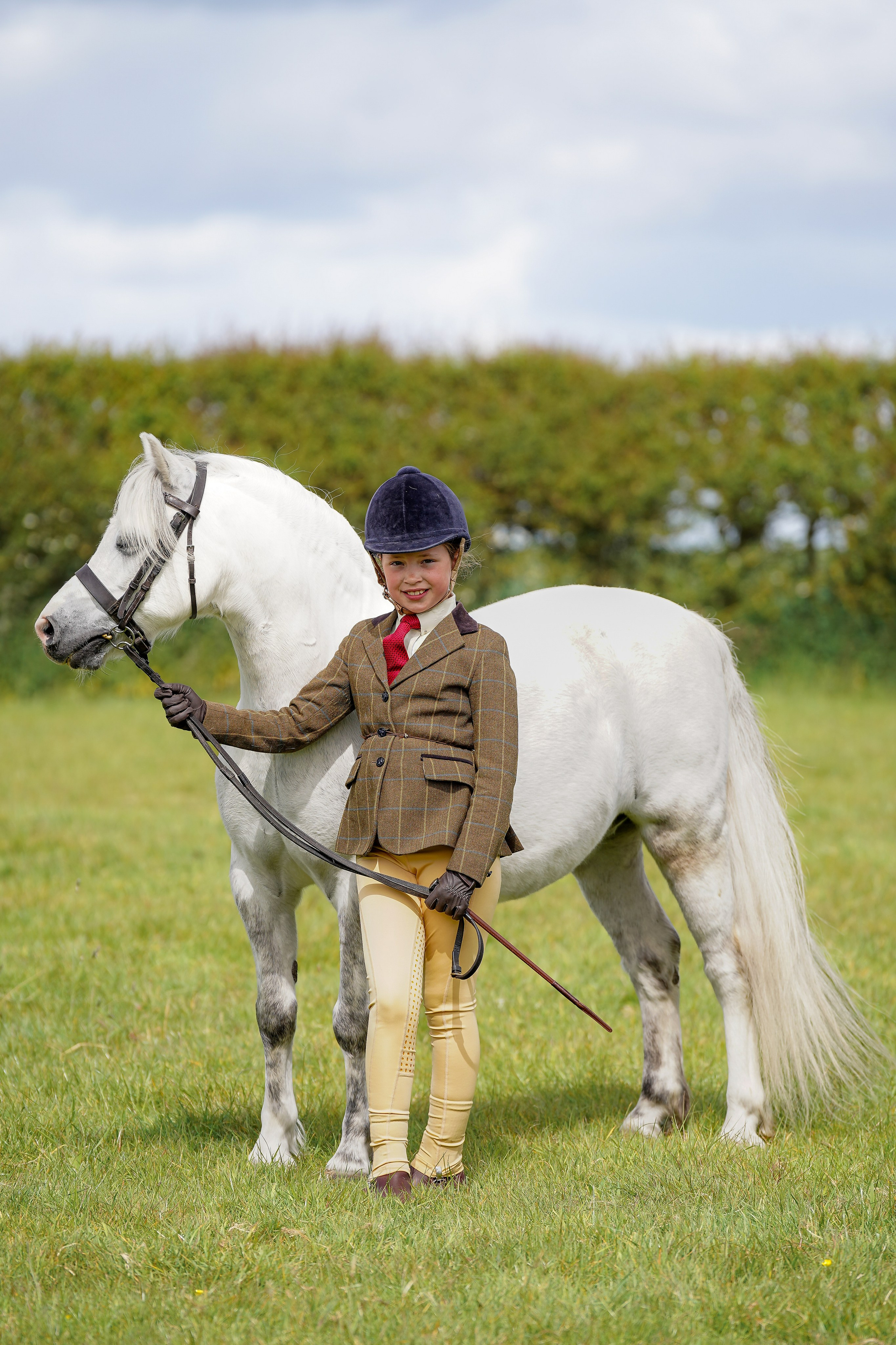 Showing. Leicestershire Equine Photography by El | Authentic Equine Portraits & Events