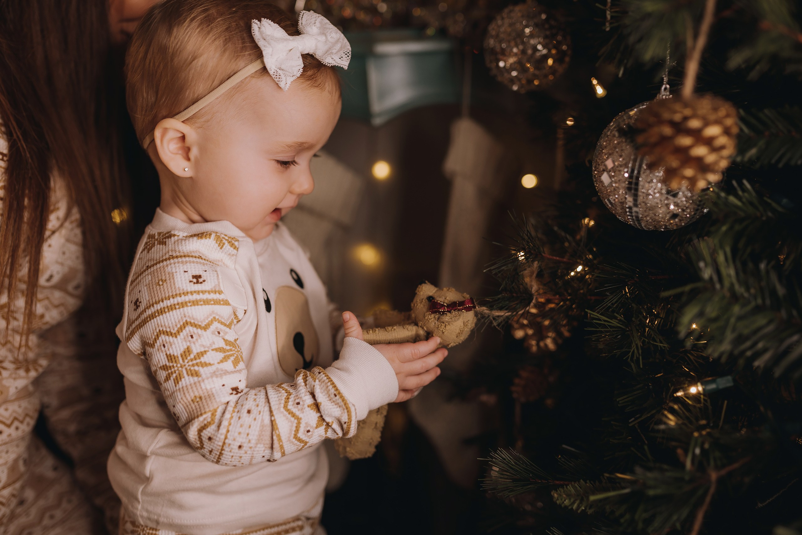 09.12.2023 Christmas Photoshoot. Wedding family event photographer in Chicago Nick Yushevich