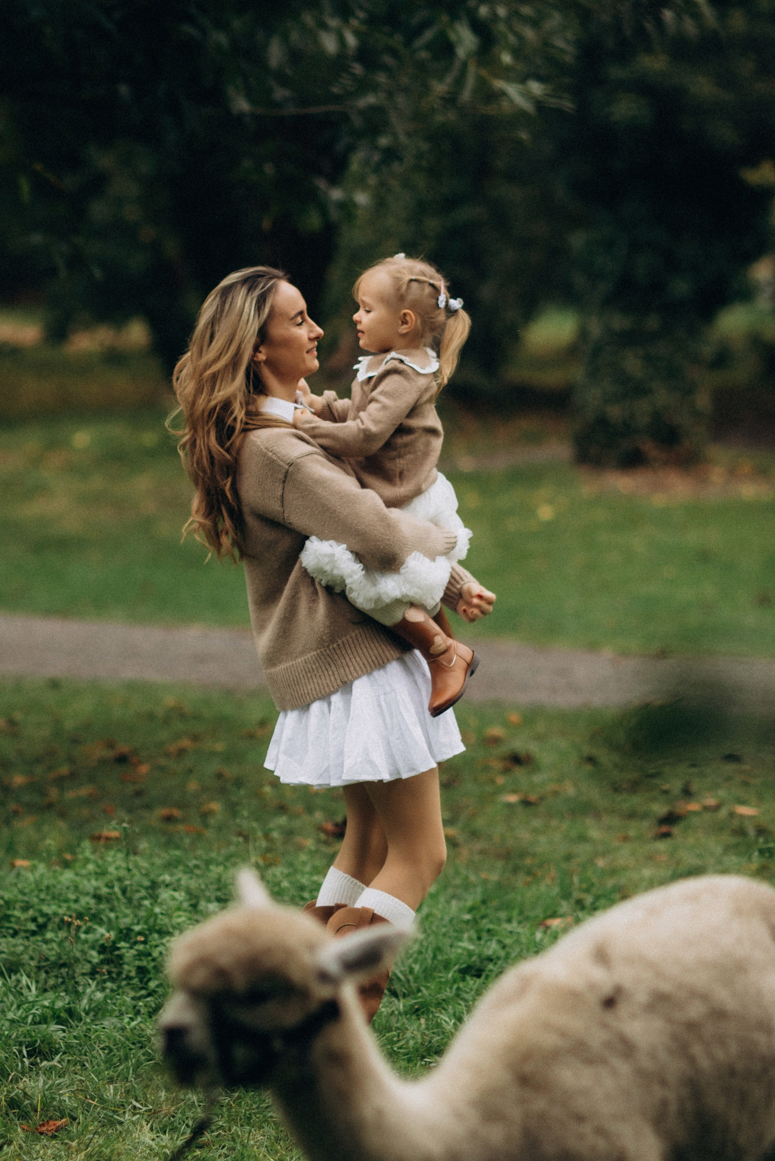 Семейная фотосессия с альпаками. Семейный фотограф Лейпциг, Германия