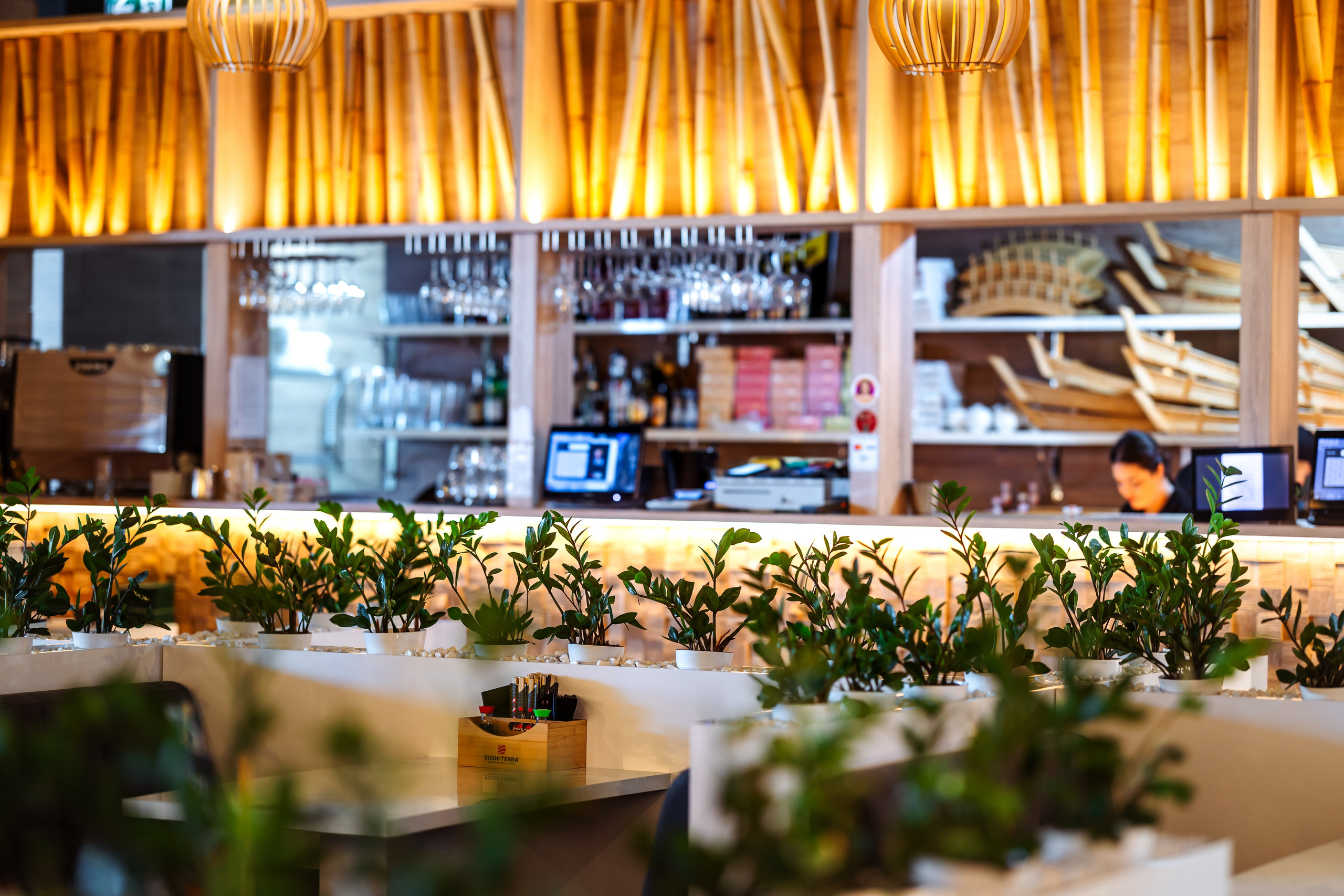Sushi Terra. Marius Ciocan