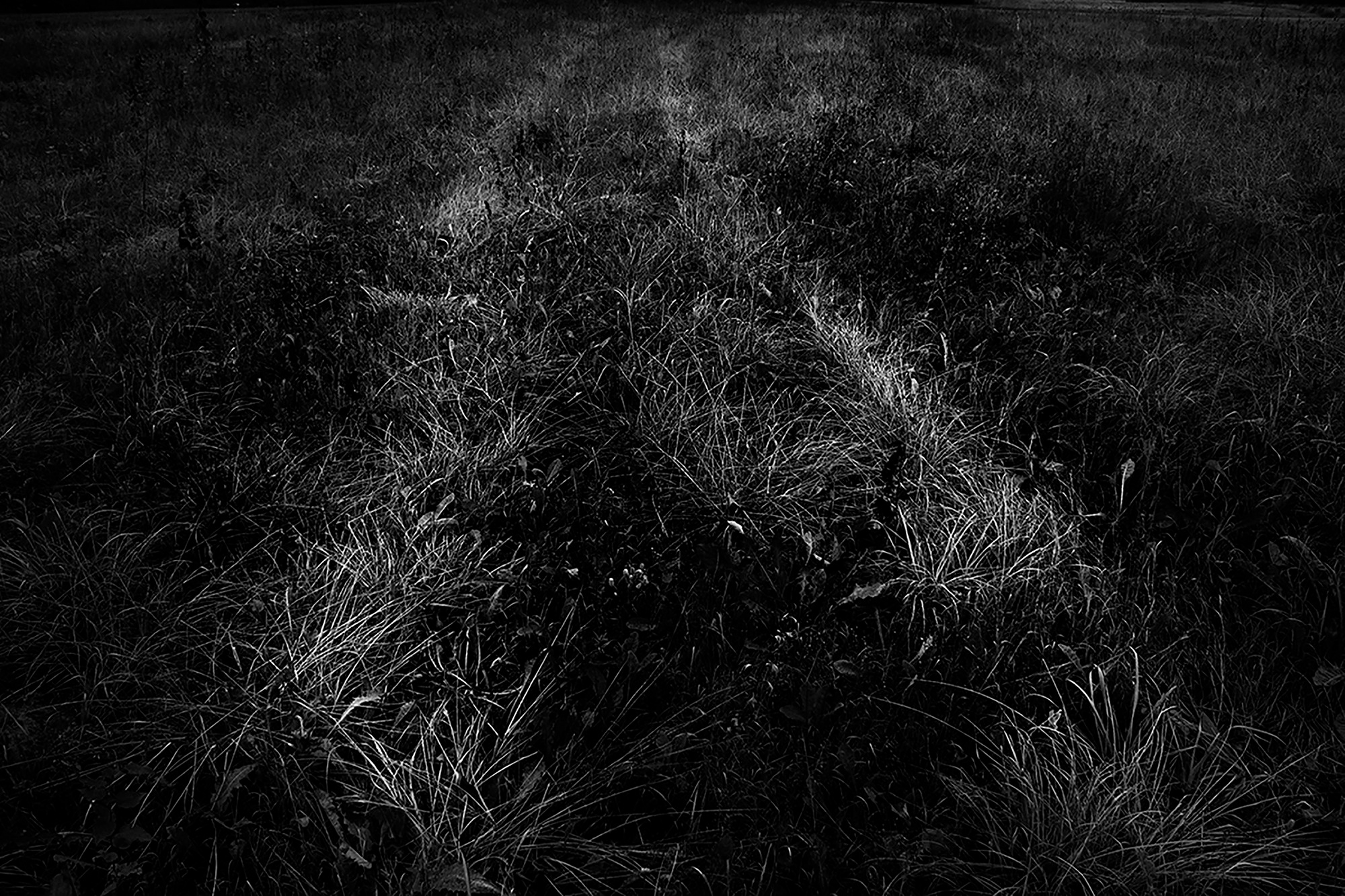 MALOSTOVKA. Documentary photographer, visual artist based in Germany