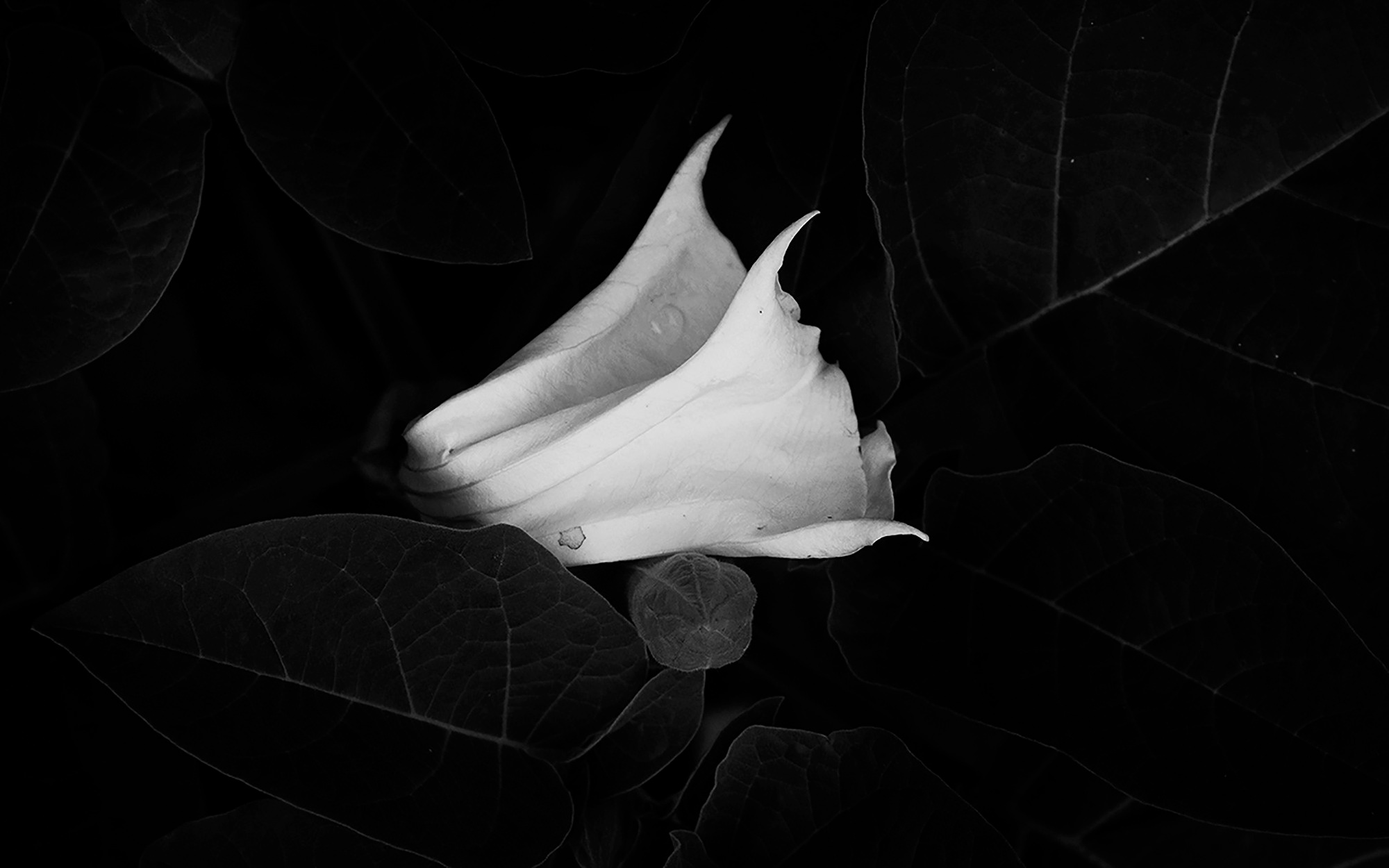 MALOSTOVKA. Documentary photographer, visual artist based in Germany