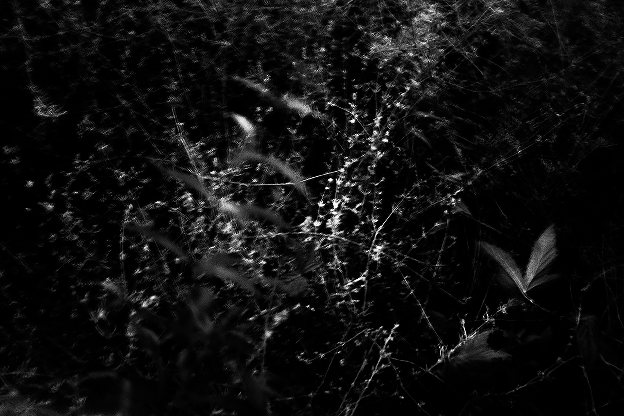 MALOSTOVKA. Documentary photographer, visual artist based in Germany