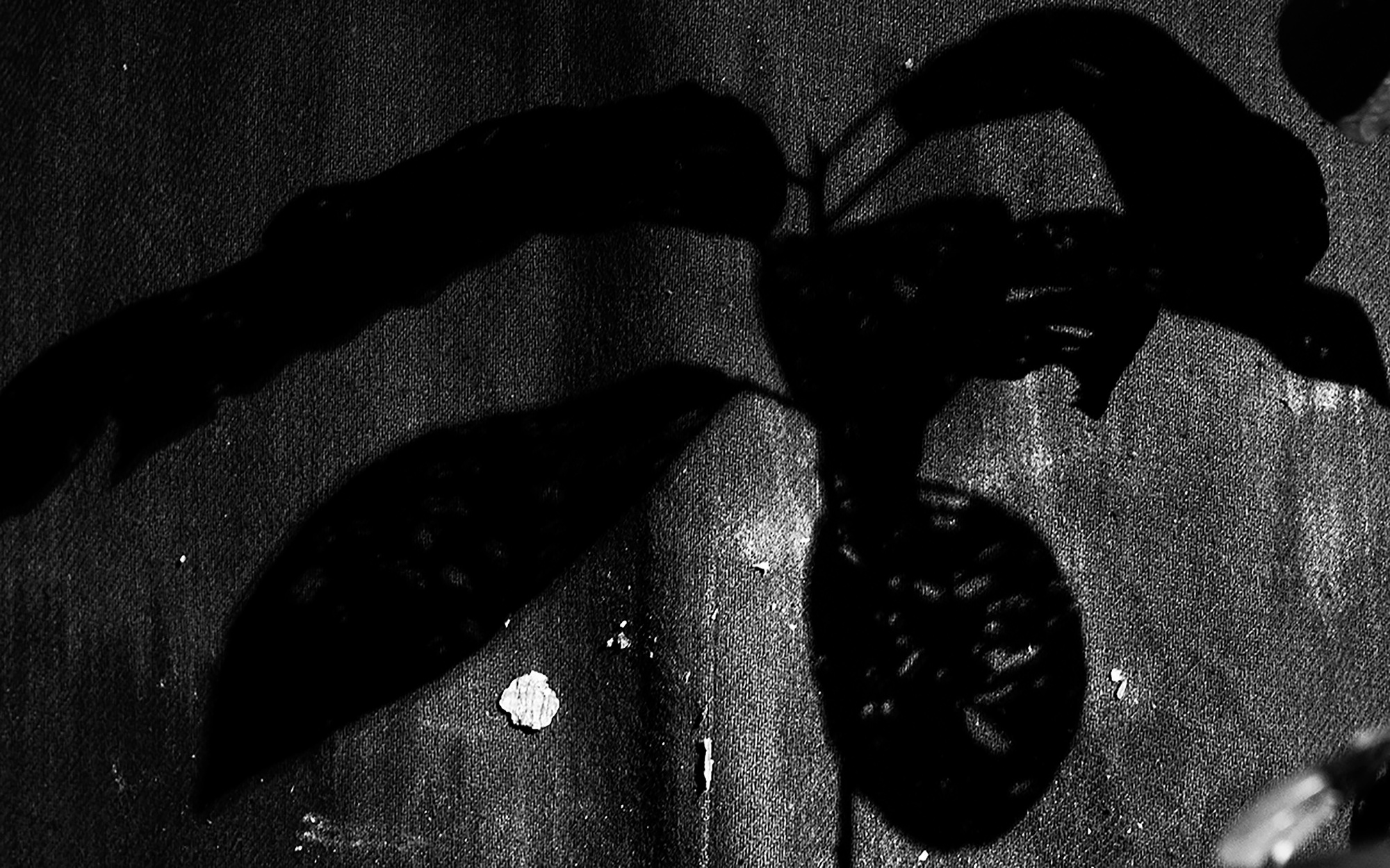 MALOSTOVKA. Documentary photographer, visual artist based in Germany