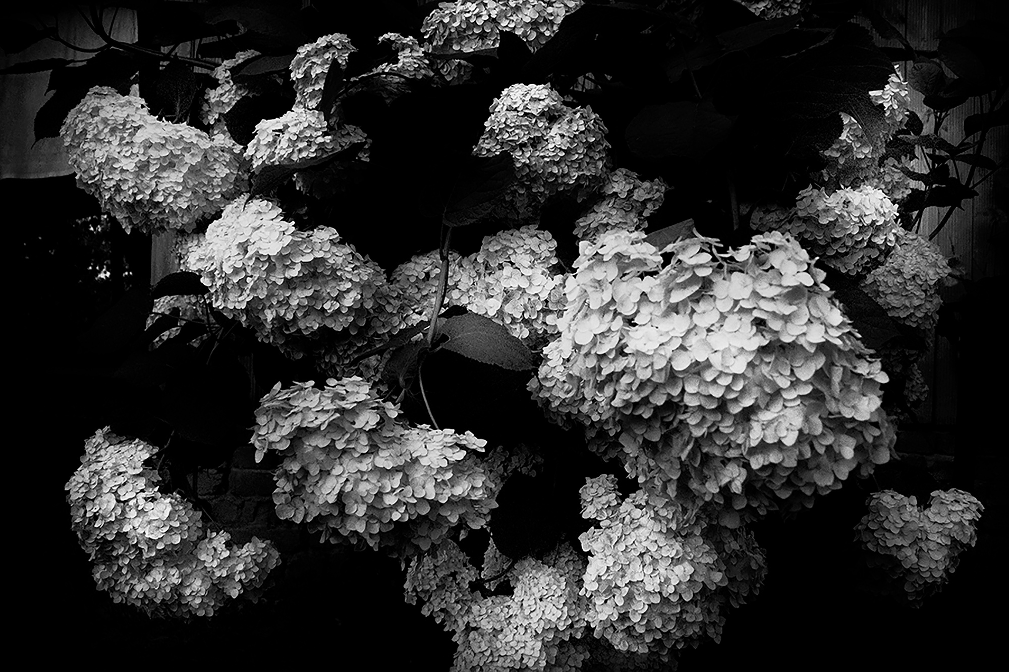 MALOSTOVKA. Documentary photographer, visual artist based in Germany