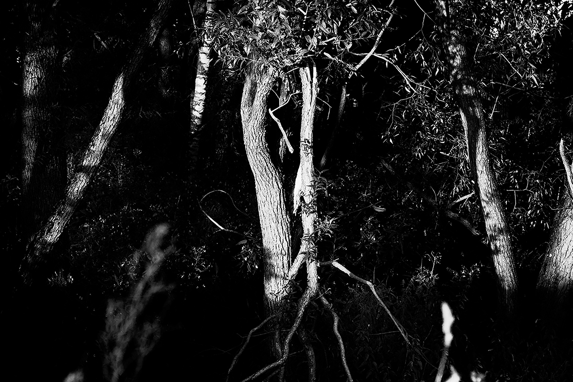 MALOSTOVKA. Documentary photographer, visual artist based in Germany