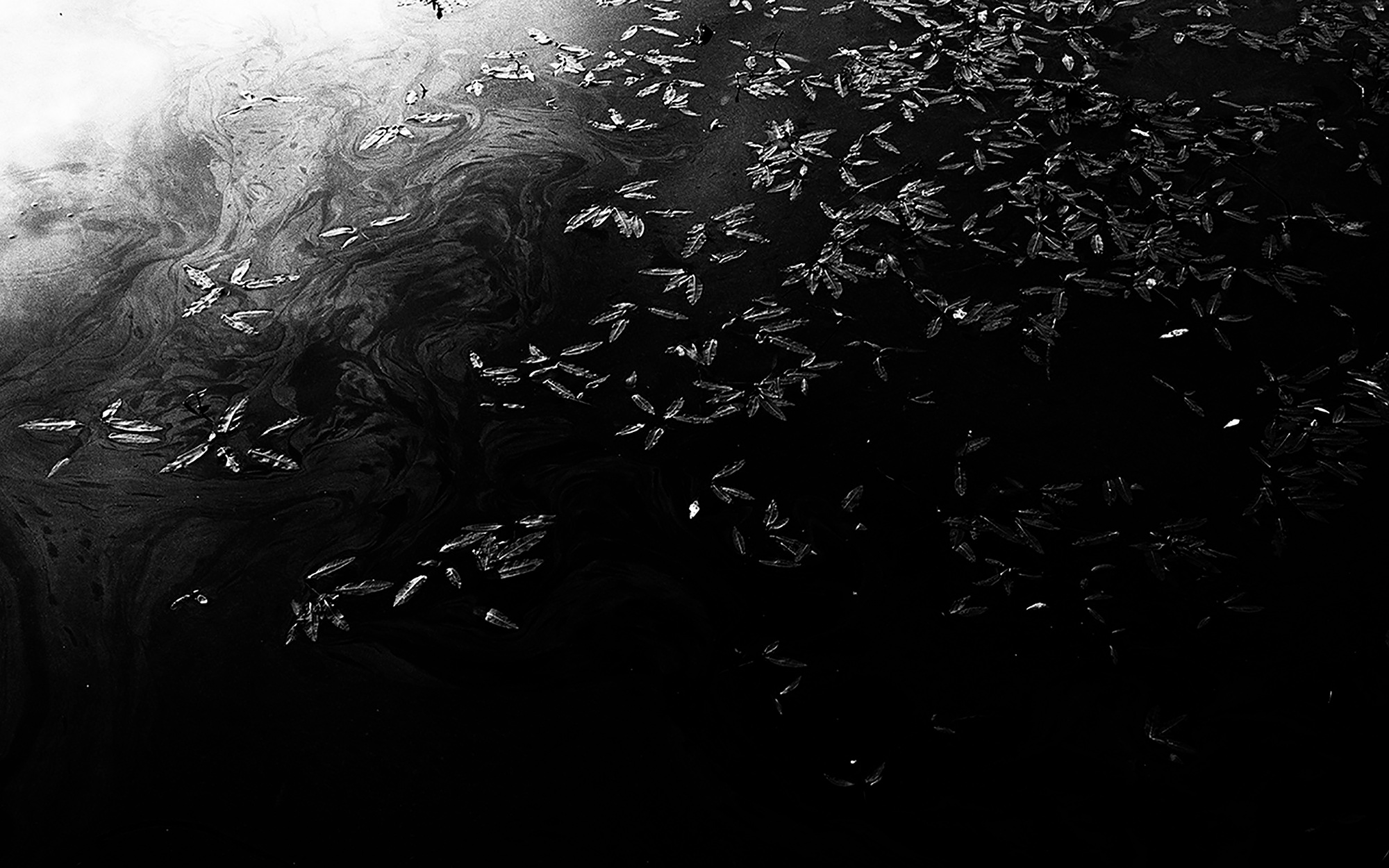 MALOSTOVKA. Documentary photographer, visual artist based in Germany