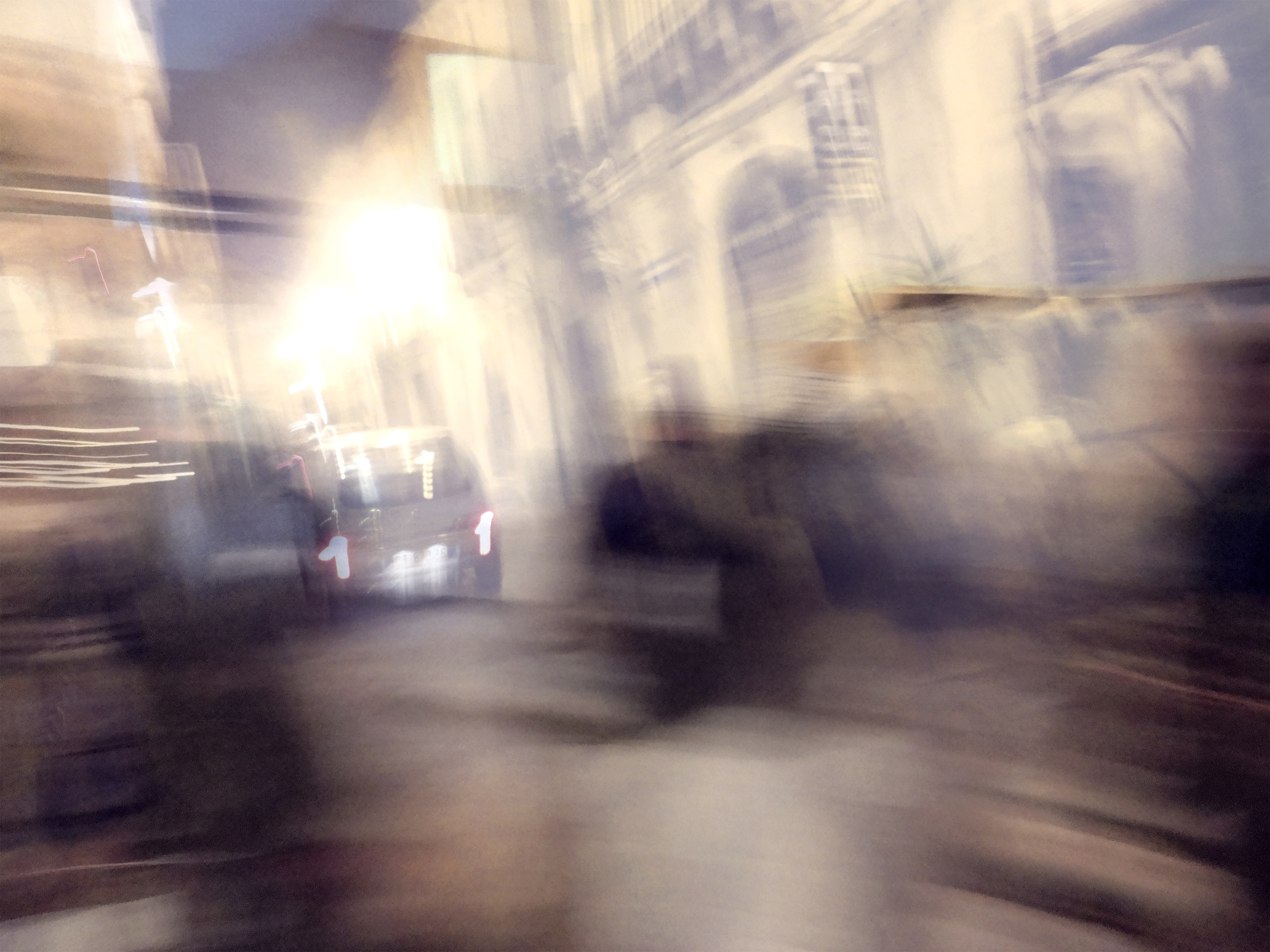 Sentimental Action" – A deeply personal art project exploring memory loss, time, and the past. For a decade, the artist suffered from amnesia, reconstructing lost years through found photographs and others' memories. Each image blends 3-6 layered exposures, creating a blurred, dreamlike effect—symbolizing fragmented, irretrievable memories. A haunting visual journey through forgotten decades, countries, and moments.