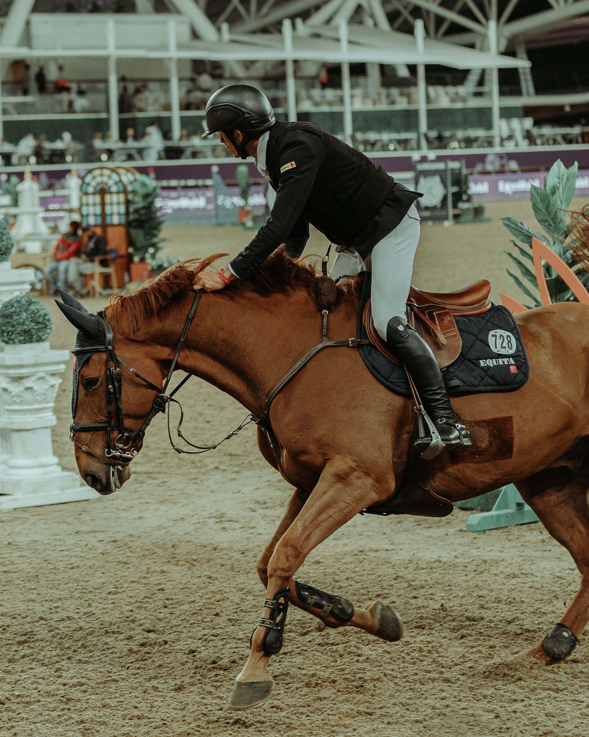 CHI 2024 — Doha. Regina Turbin — official website