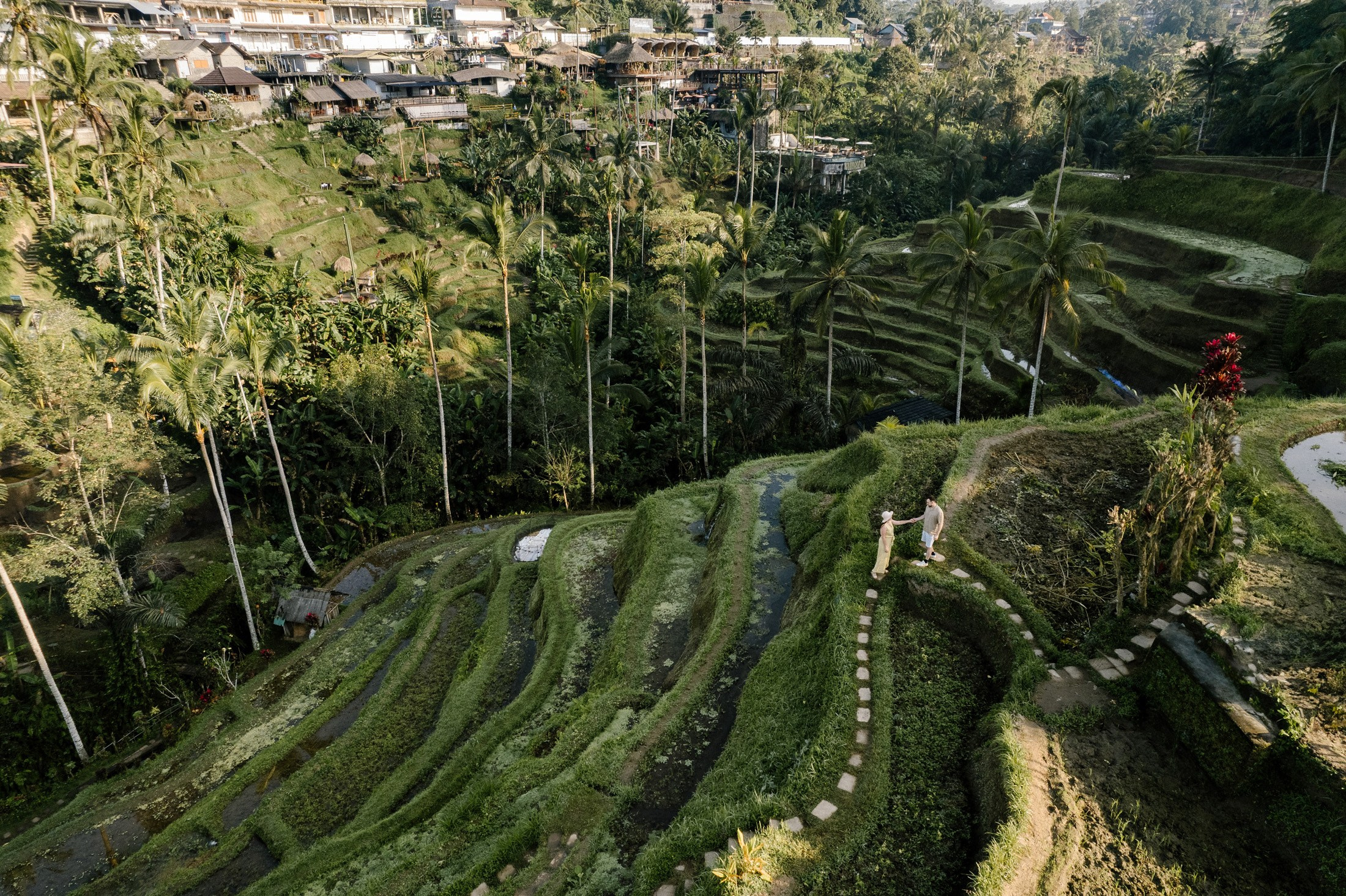 Rice Terraces. Getitfeel — Aesthetic Photography and Videography