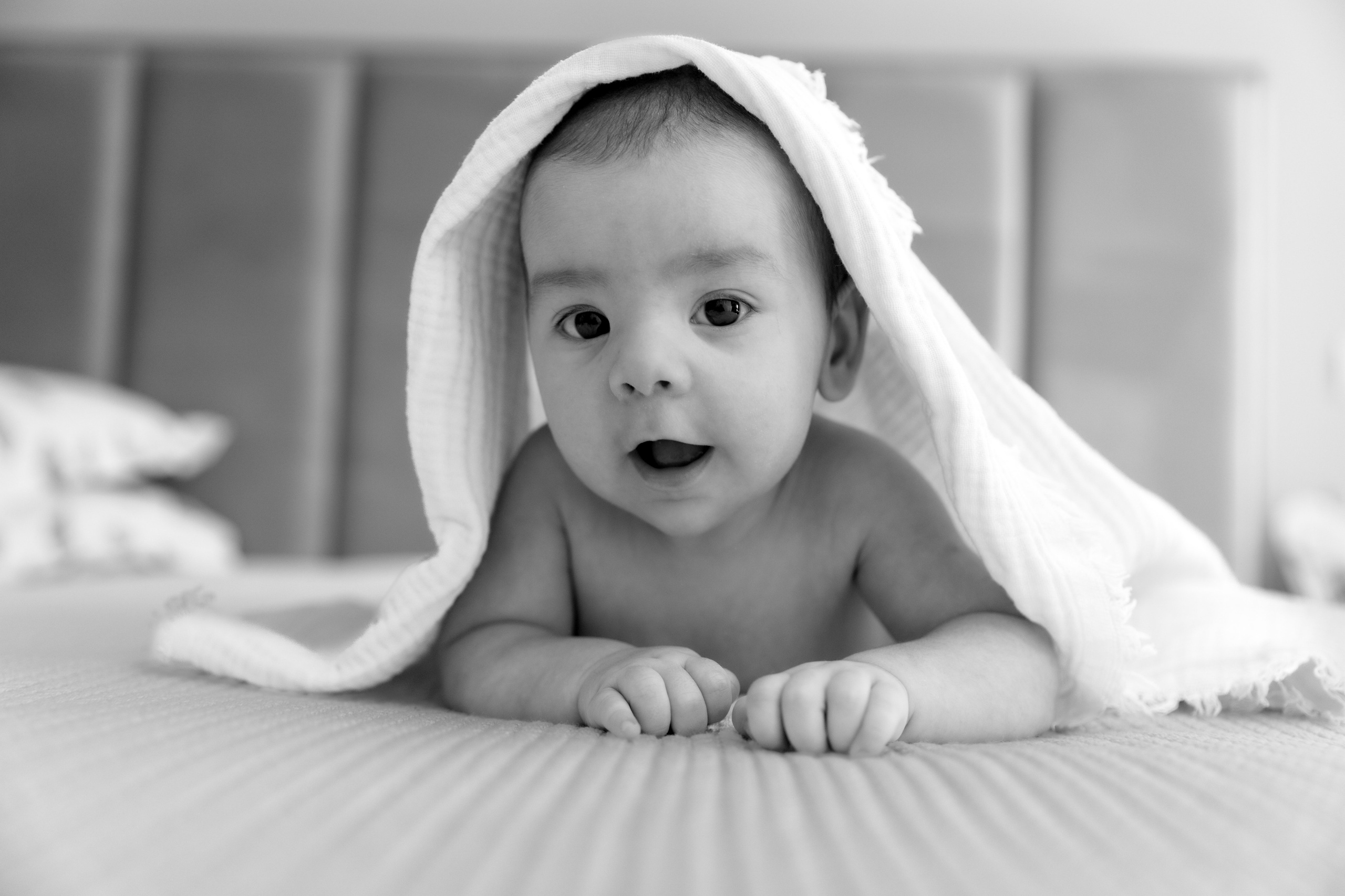 Vladimir Mihai - Botez București. Fotograf Profesionist Pitesti-Bucuresti| Mircea Seinea