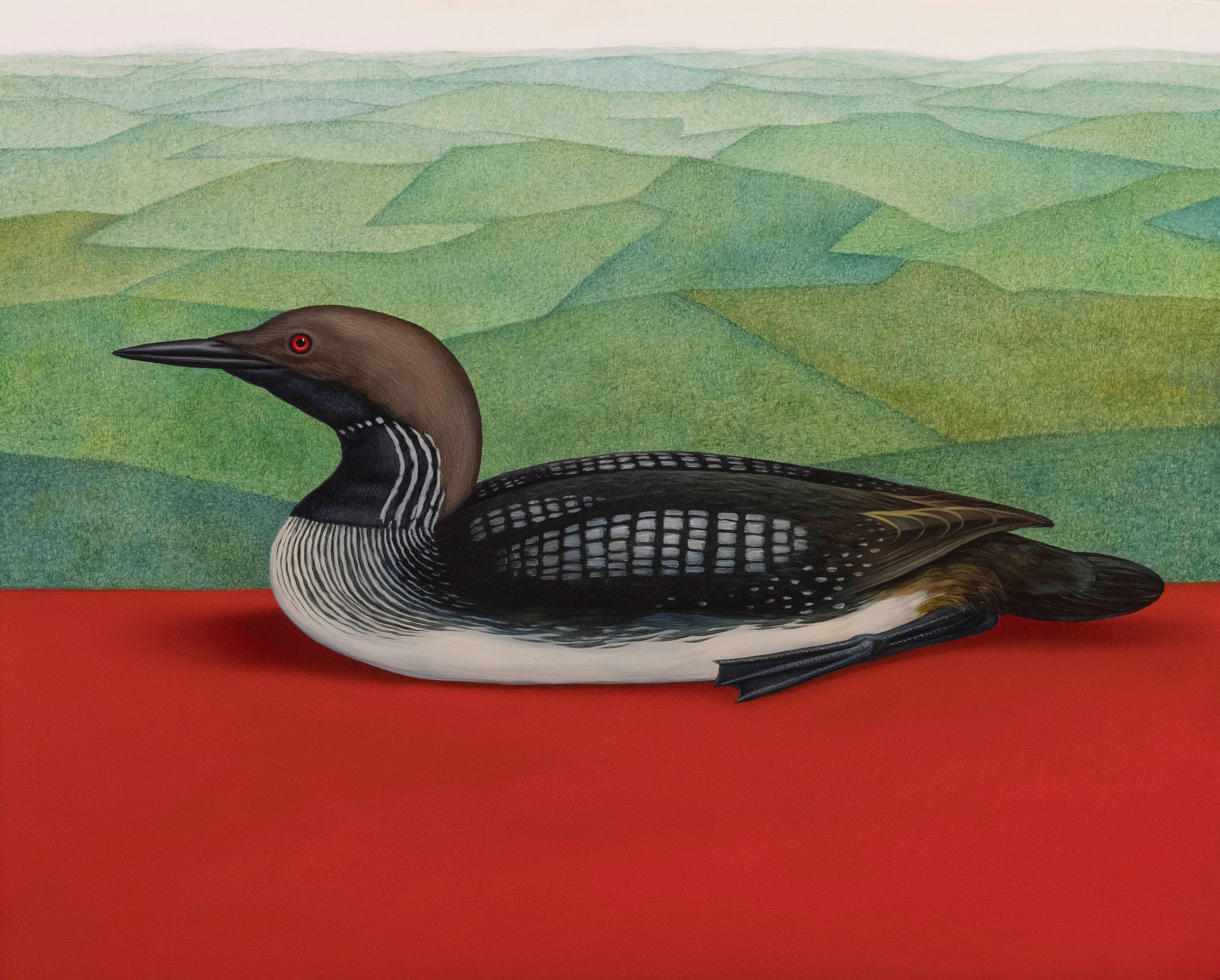 Nature Morte (Gavia arctica). ELEN BEZHEN