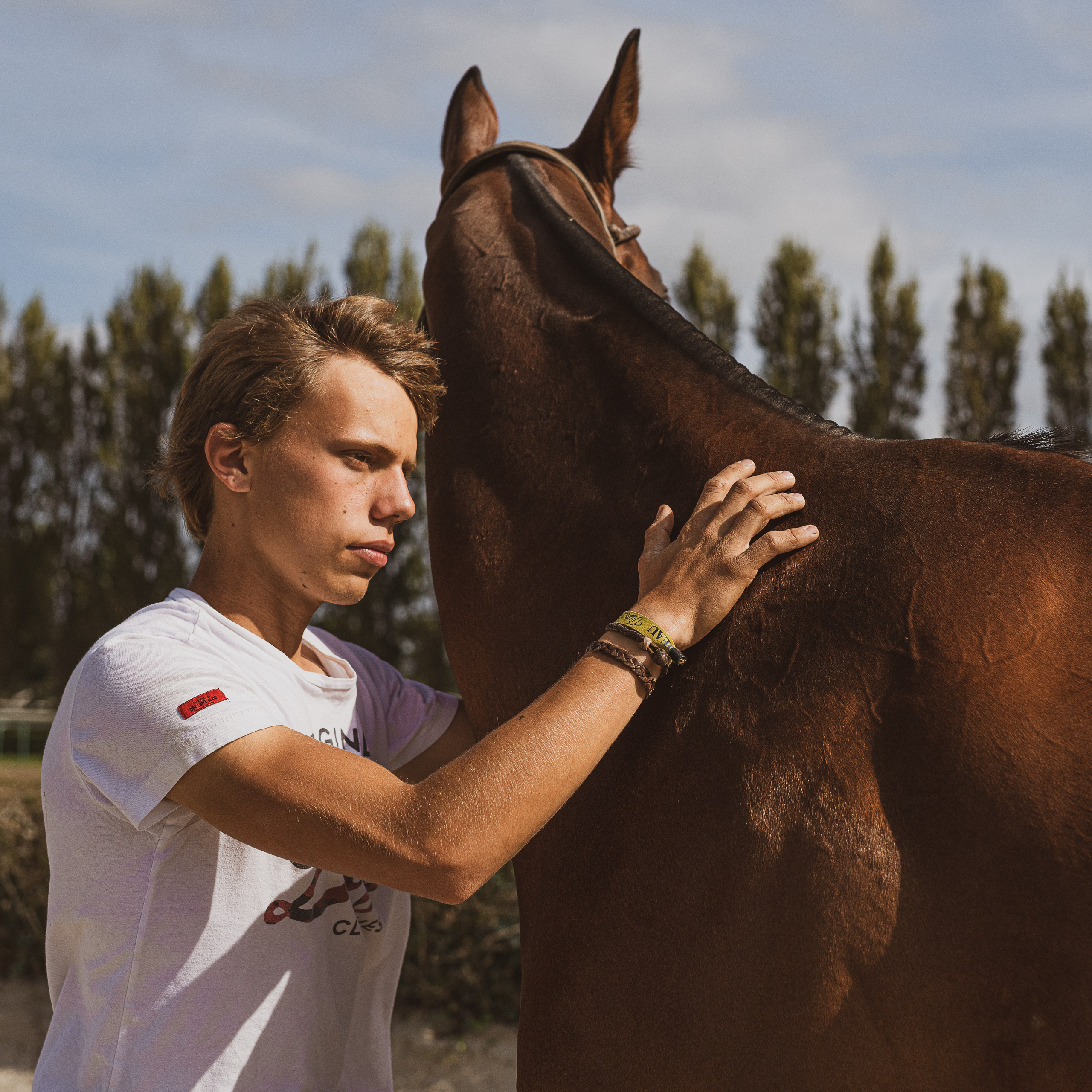 Photo shoot with horses