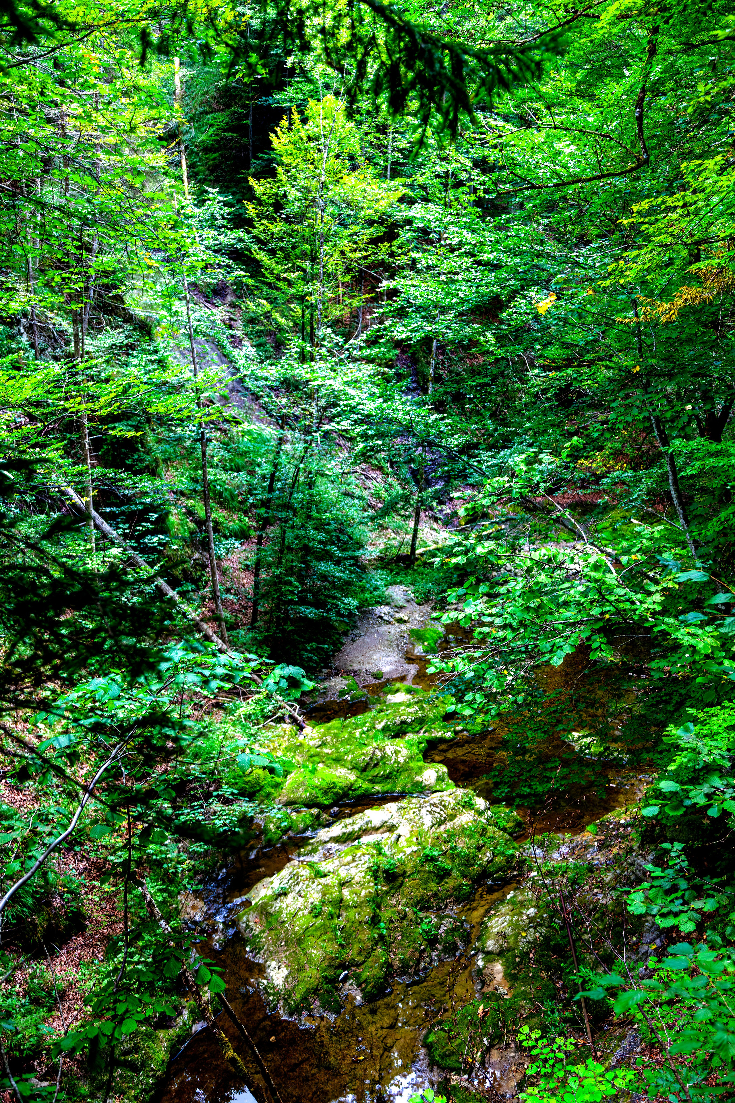 197.Ötscher Base Nature Park.Austria.21.8.2025. Путешествия в формате 360......