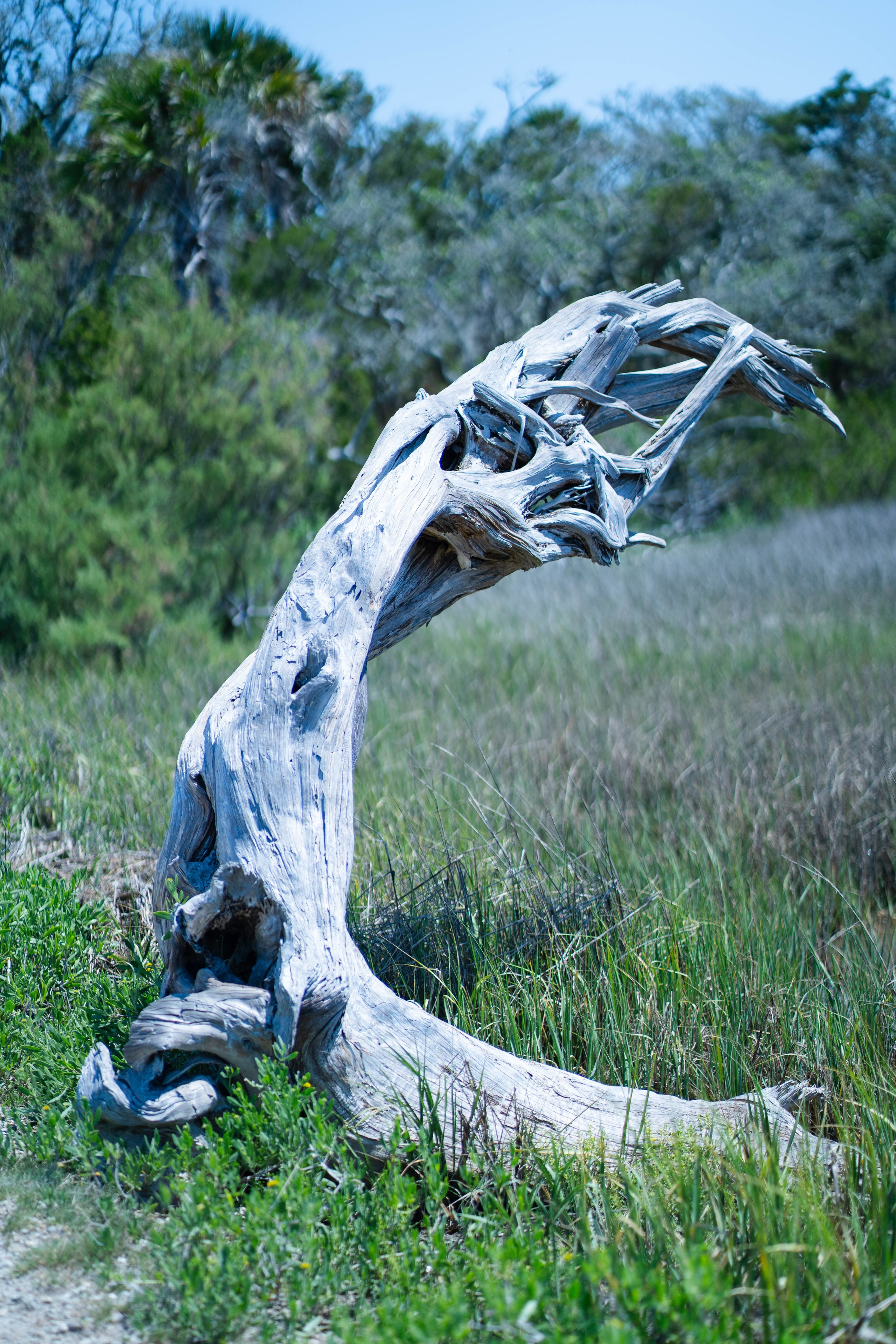 Travel + Nature. Travel and family photographer in South Carolina