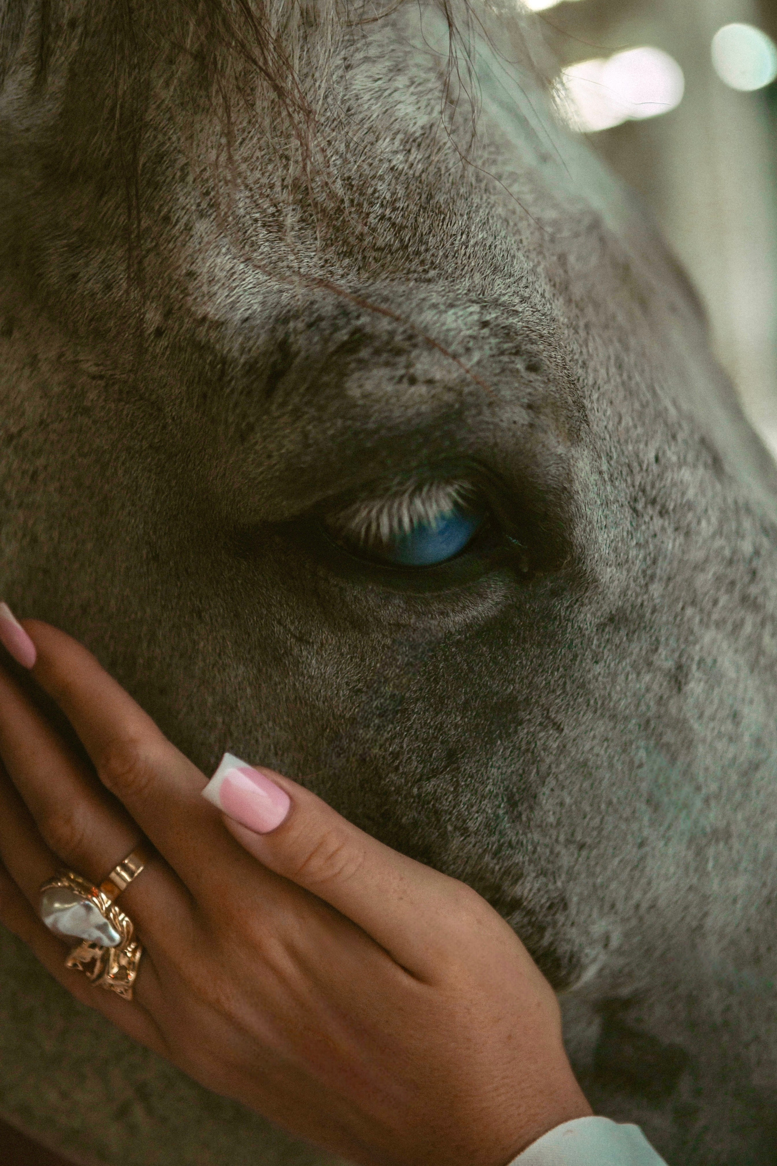 Конная прогулка. Татьяна Бондаренко фотограф (индивидуальные, семейные, лавстори)