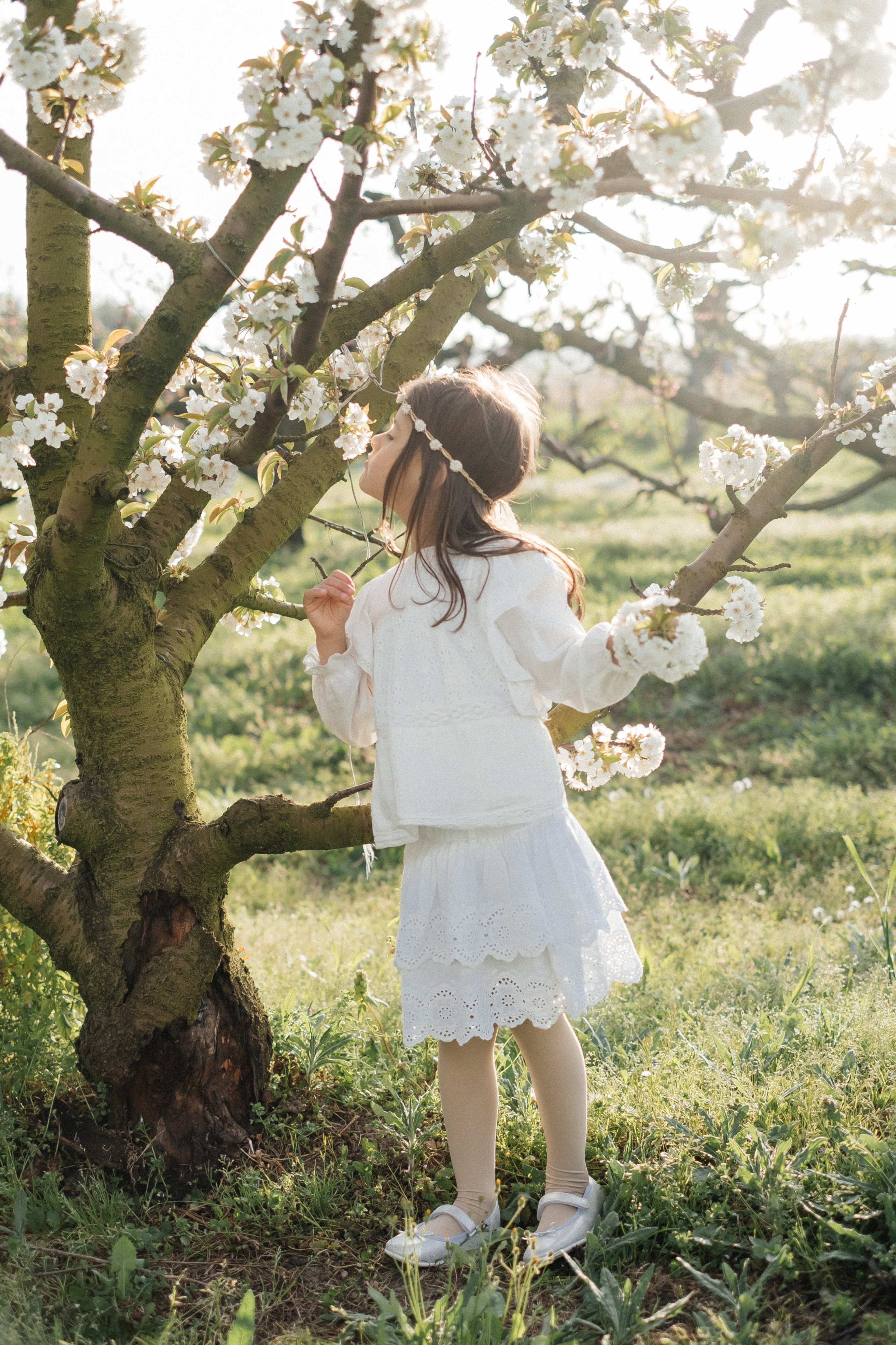 🌸🌸🌸. Fotografa Rimini
