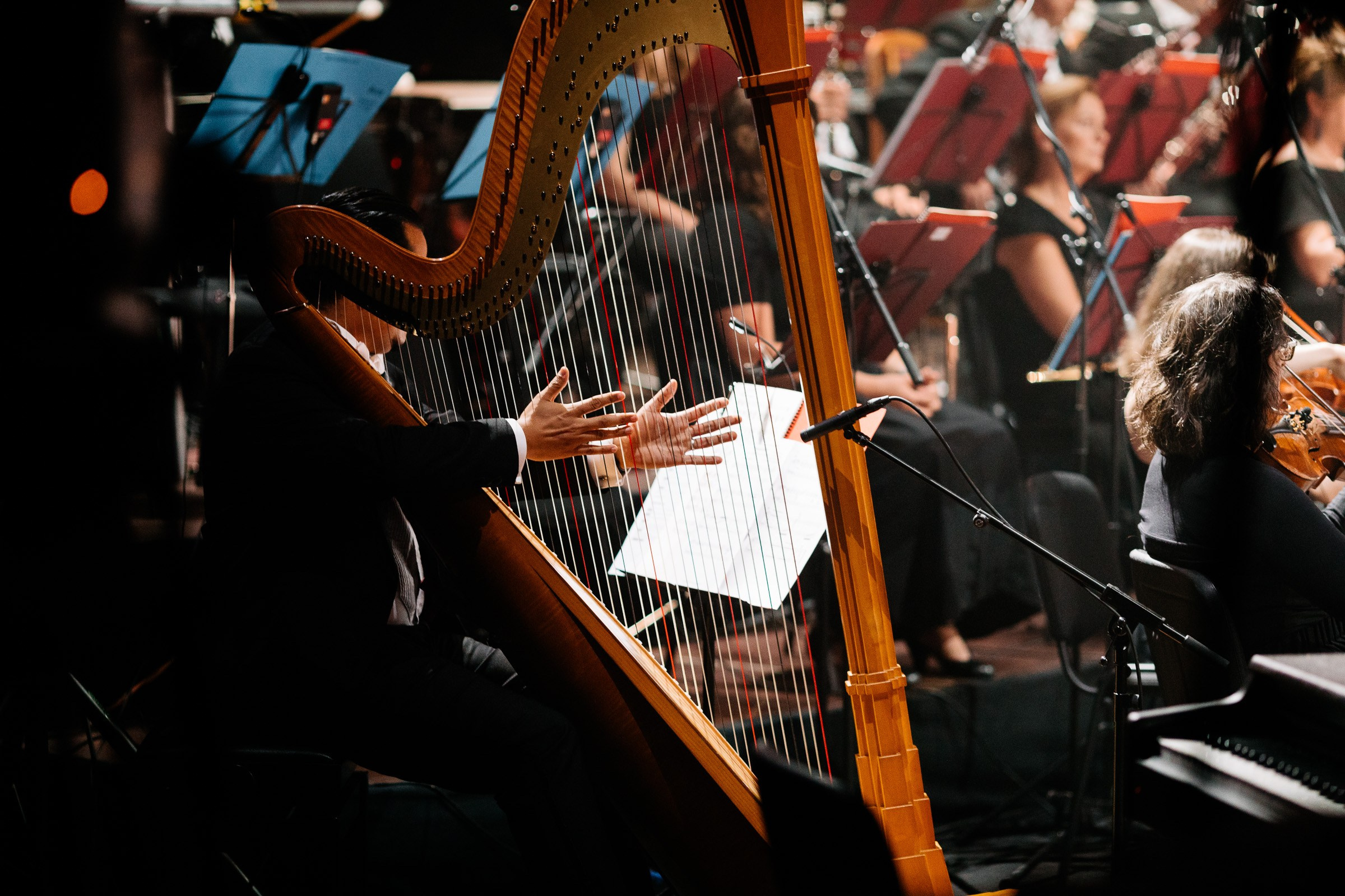 Opera Leśna Koncert. Fotograf Ślubny Warszawa - Sesje Biznesowe Rodzinne Eventy
