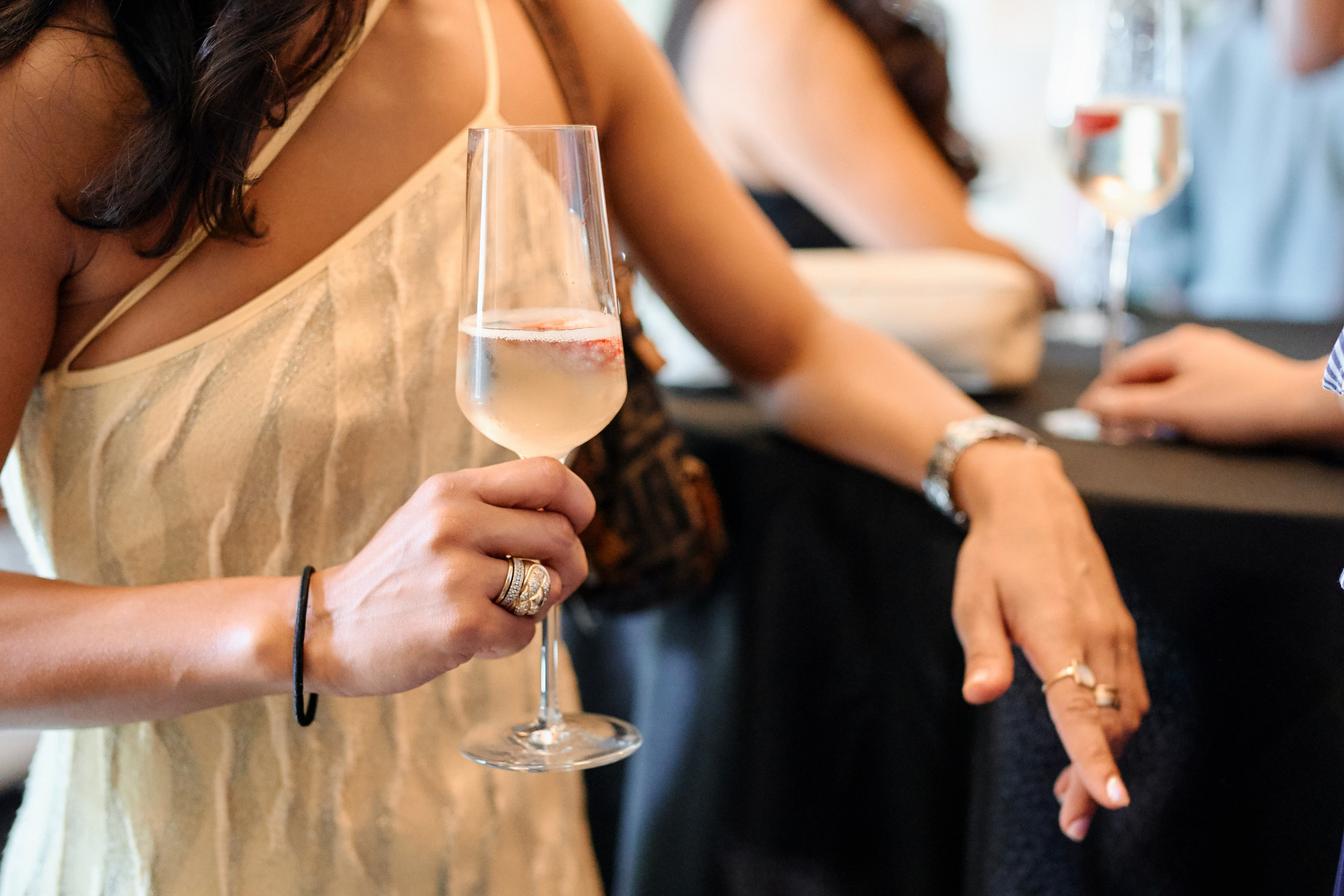 Lauren Gorab’s Bridal Shower. Professional Wedding and event photographer USA New York