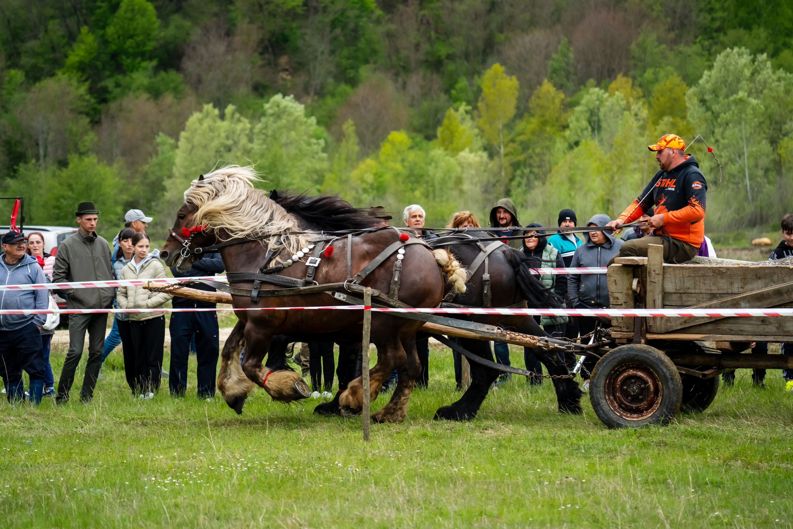 Concurs Ecvestru Vărbilău ediția a 4-a. Mihai Alexandra Events
