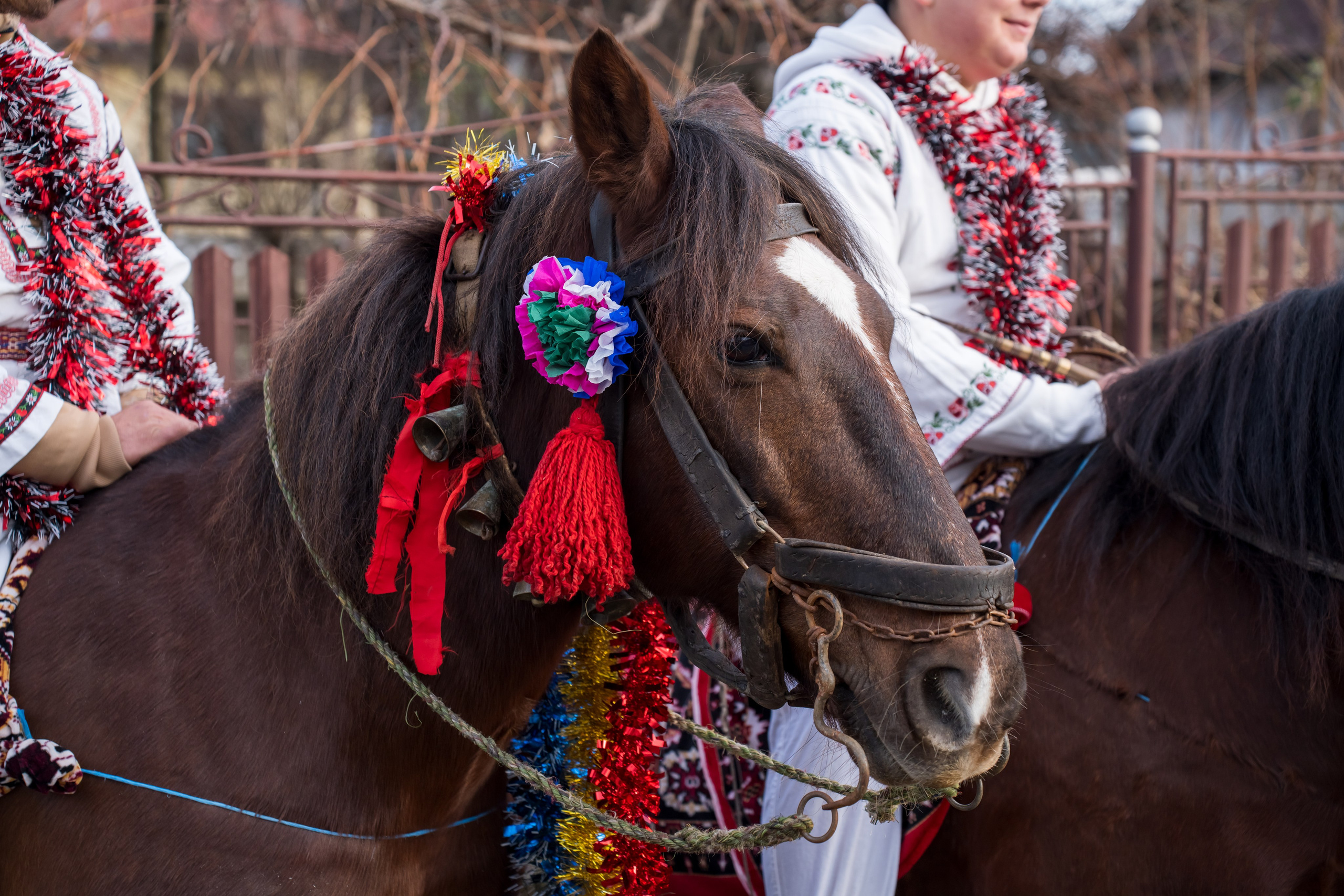 Parada Cailor 1 Decembrie