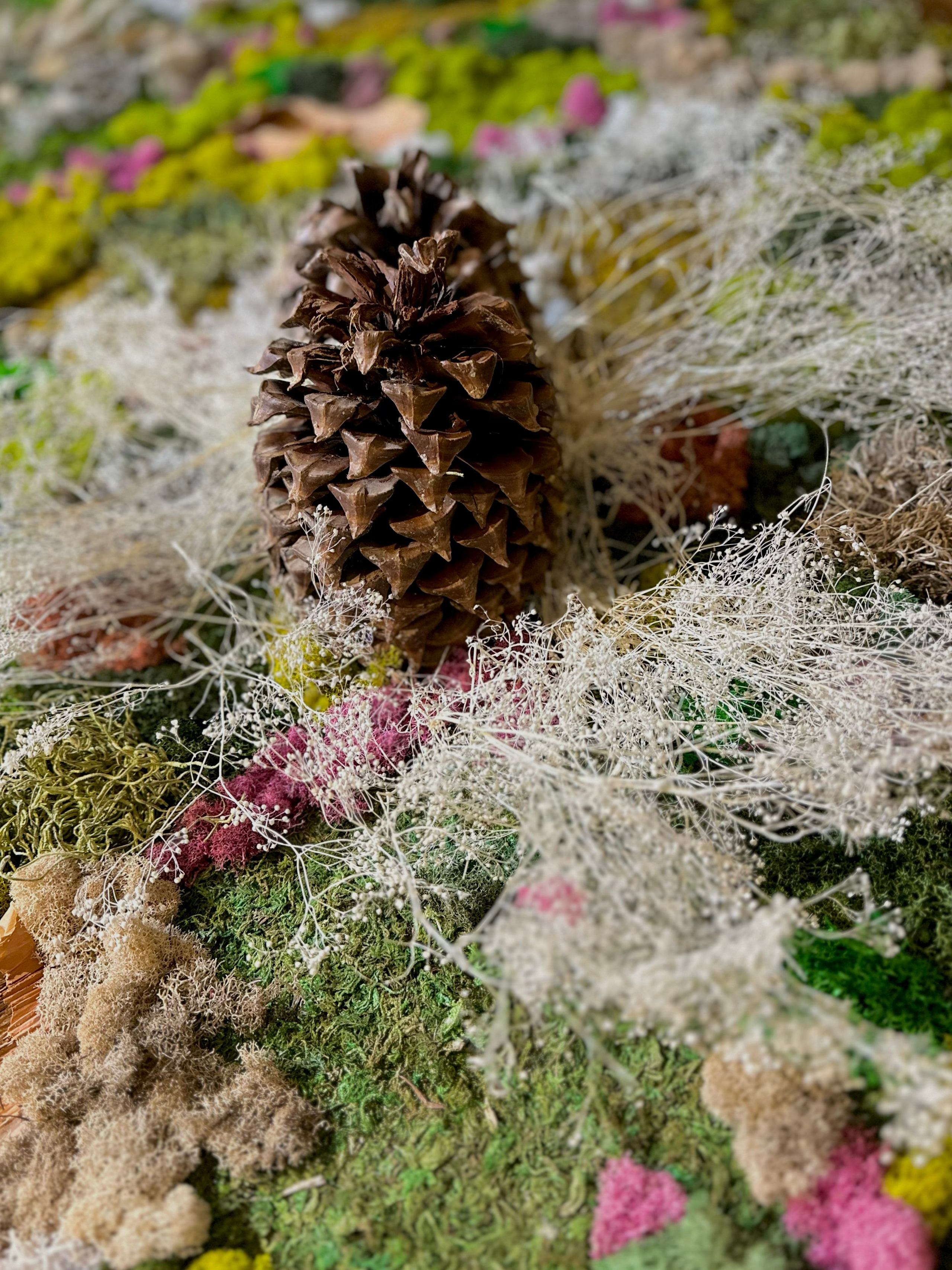 Anna & Moss magic, Content. Yana Bobrova | Artistic Photography