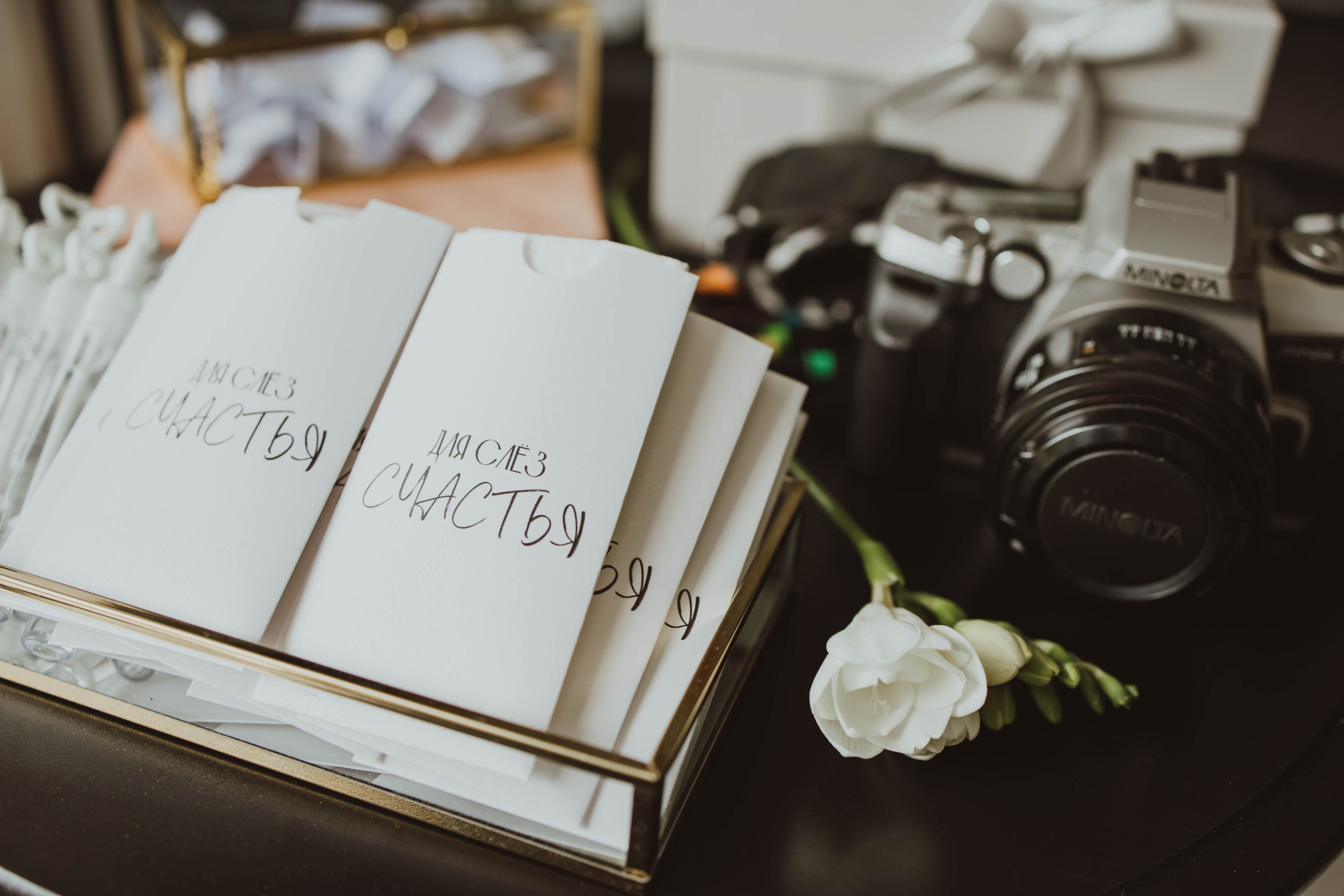 ANTON TATSIANA. Fotograf Mykhalchuk Inna Kraków