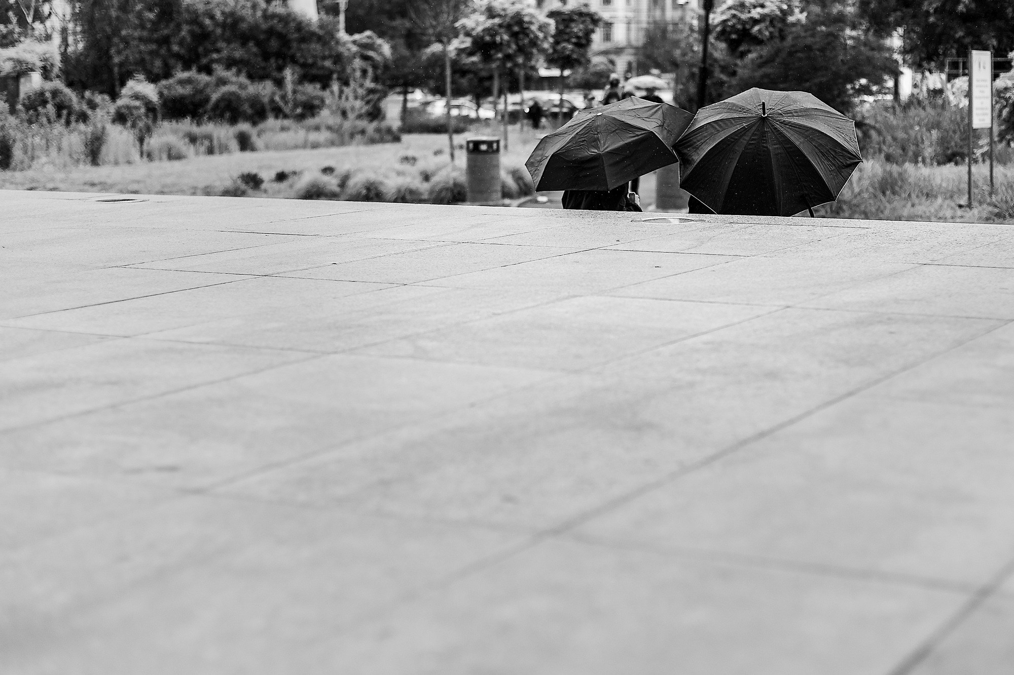 Monochrome. A Creative Insight | Catalin Nastase