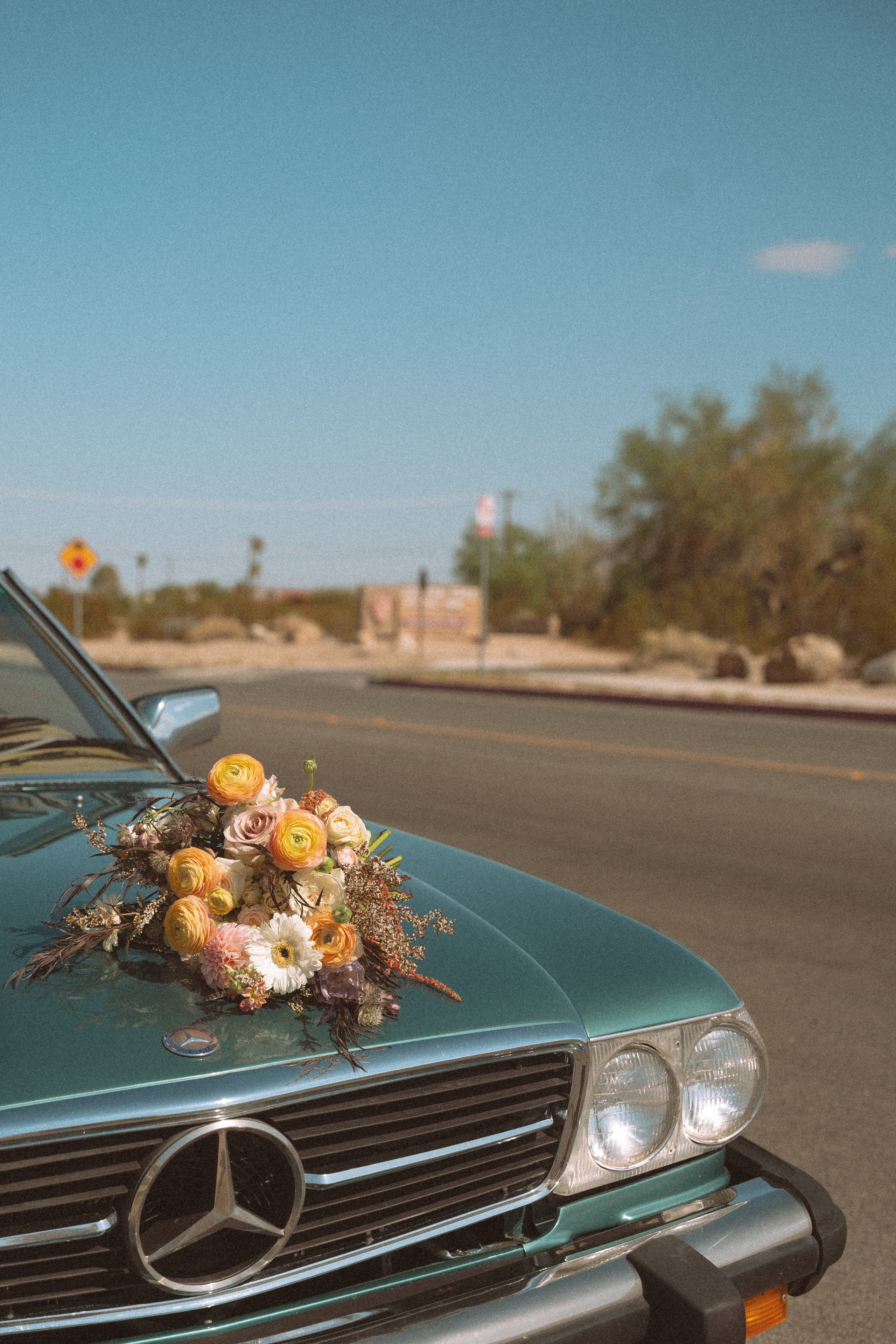 Joshua Tree wedding. Joshua tree elopement. Wedding for 2. Wedding photographer Joshua Tree. Elopement photographer in Joshua Tree. Couples photographer in Joshua Tree. Elopement in Joshua Tree