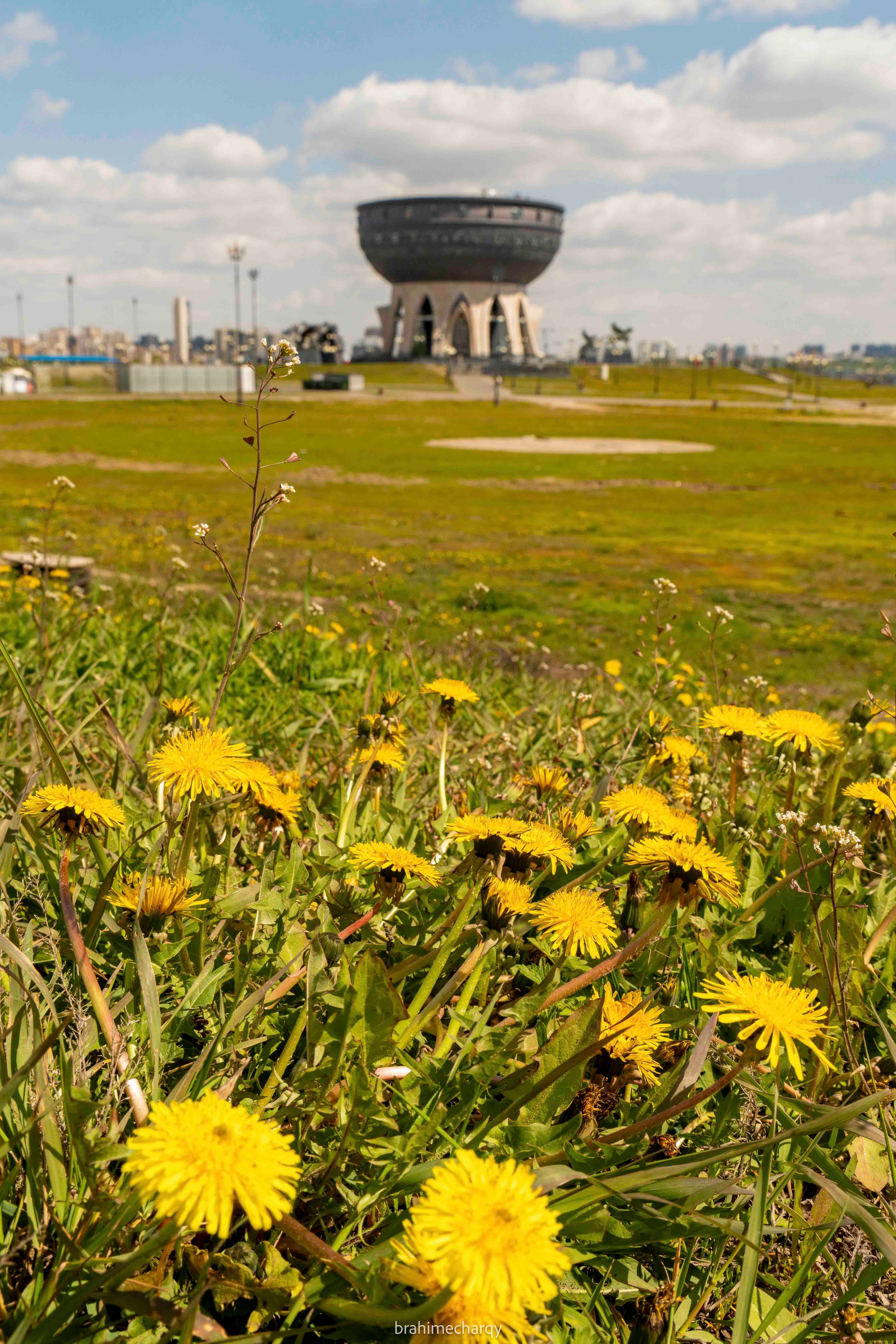 Фото. Брахим — фотограф