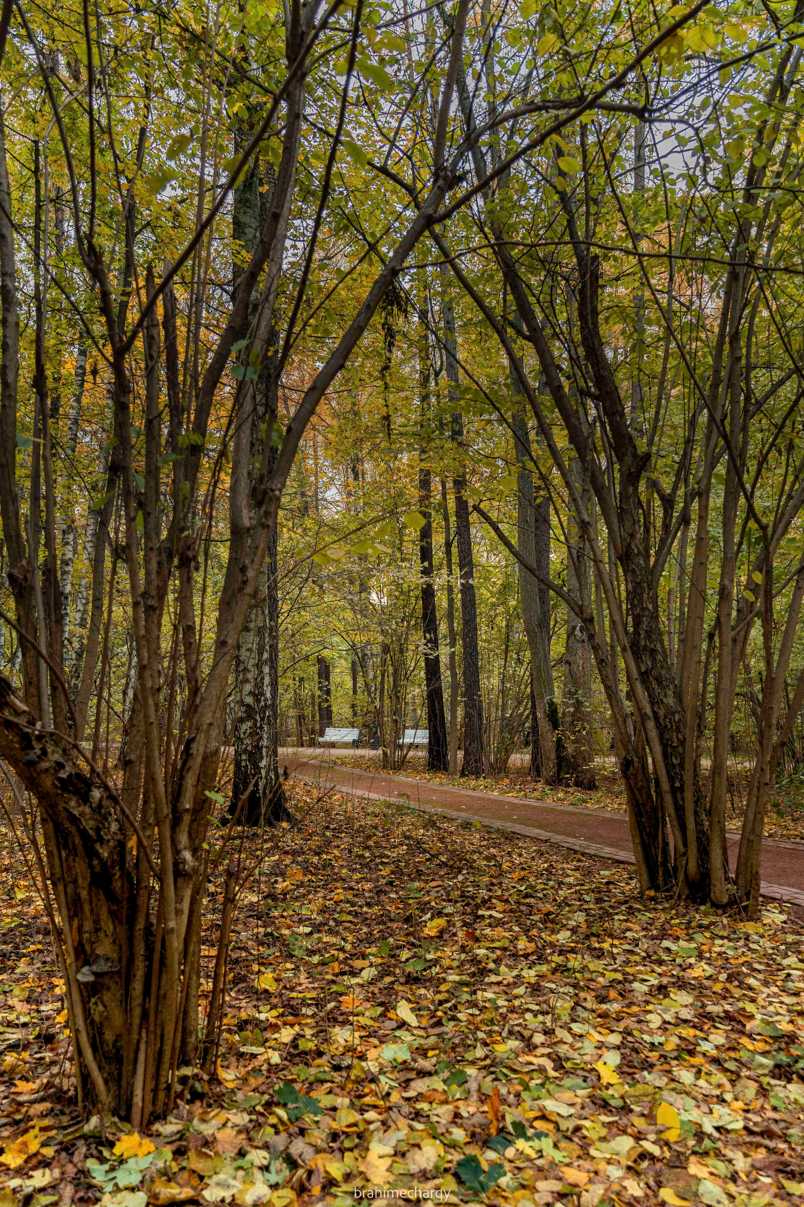 Фото. Брахим — фотограф