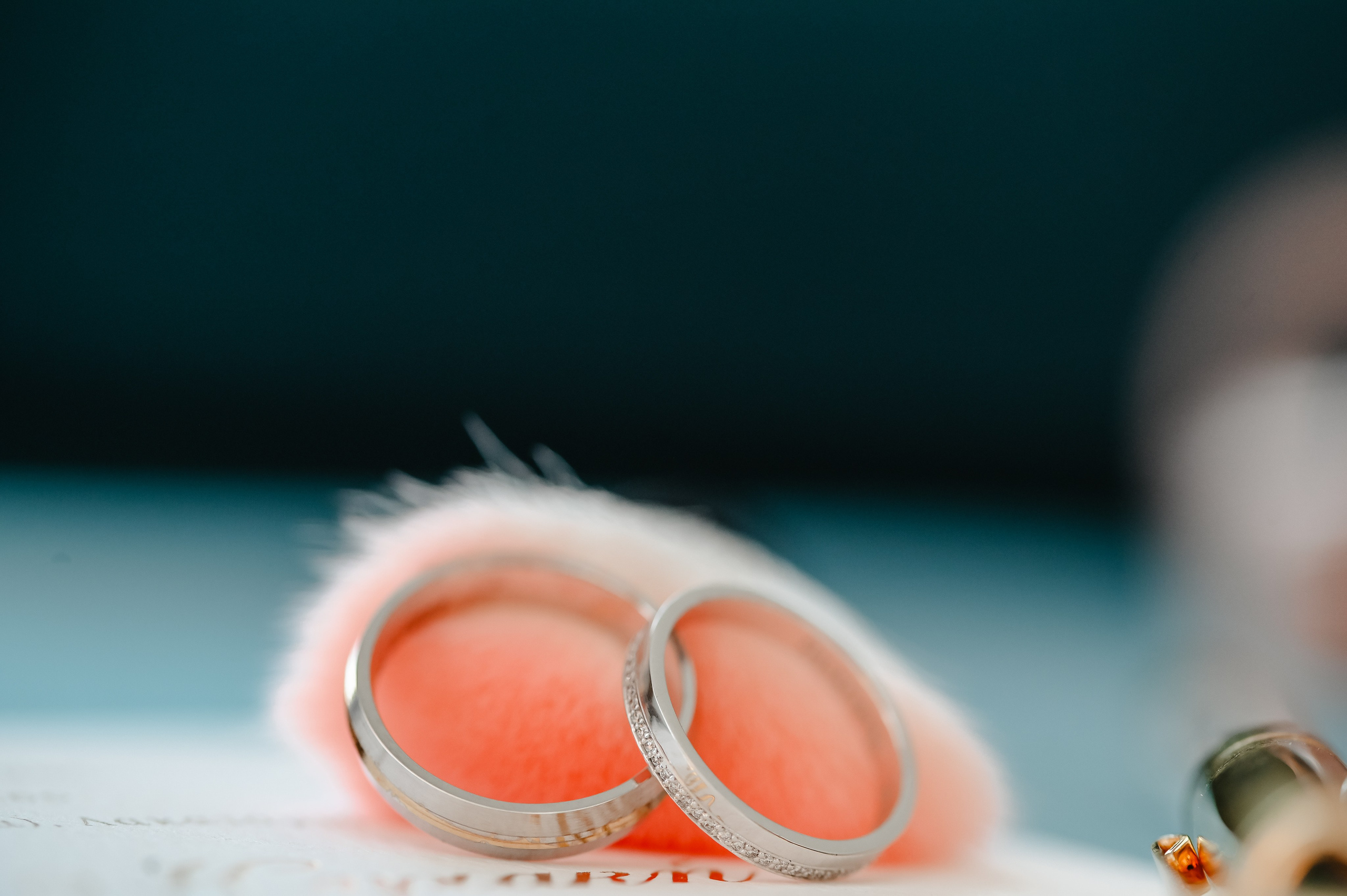 Wedding P & K. AdrianOltean.wfolio.pro