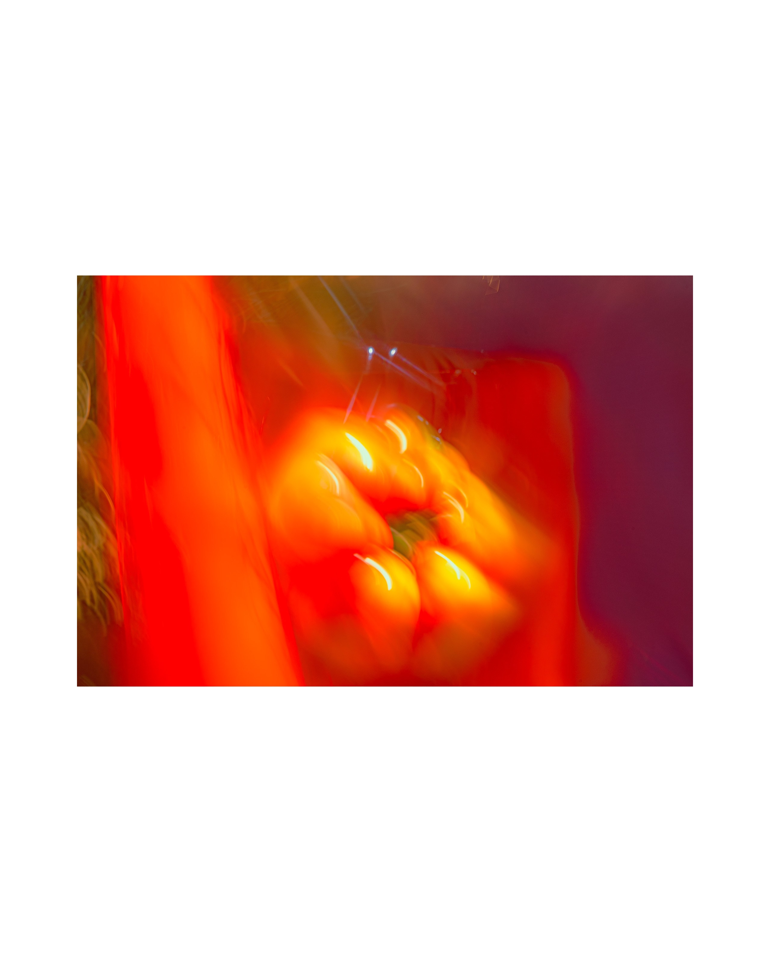 Vegetables from refrigerator. Ekaterina Tsurkina-Appina Photography Canada