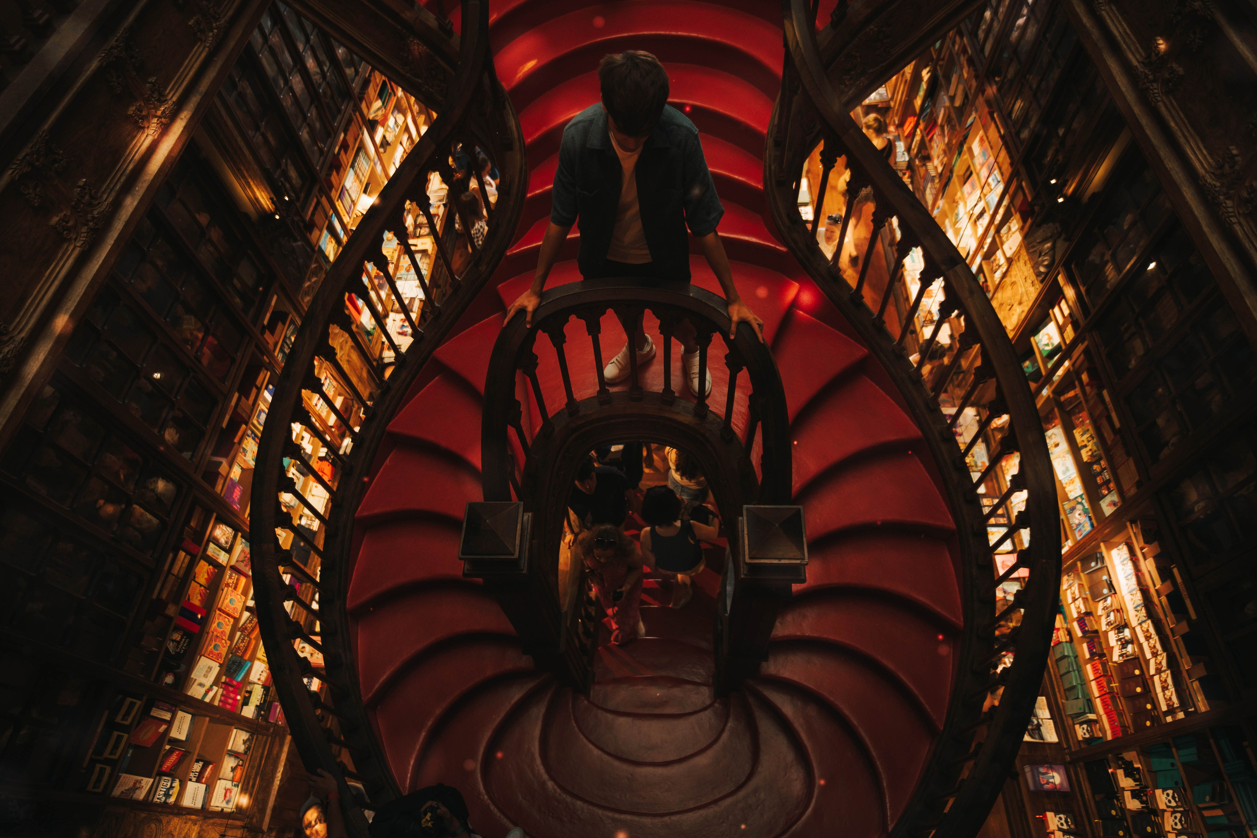 Librería Lello, Porto. Alba del Norte Studio